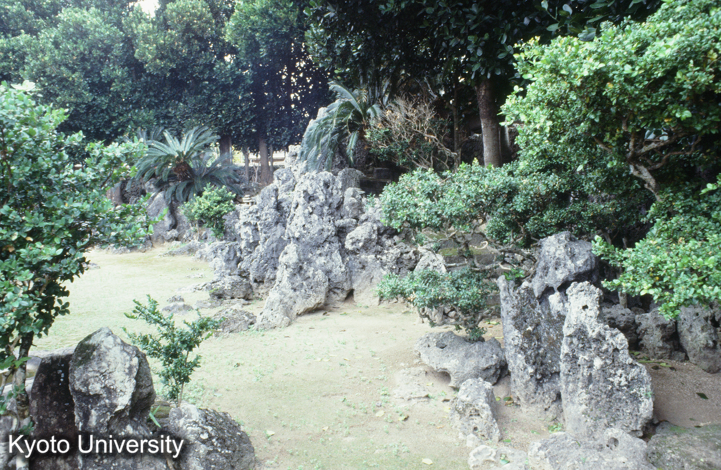 ［スライド］ (1)