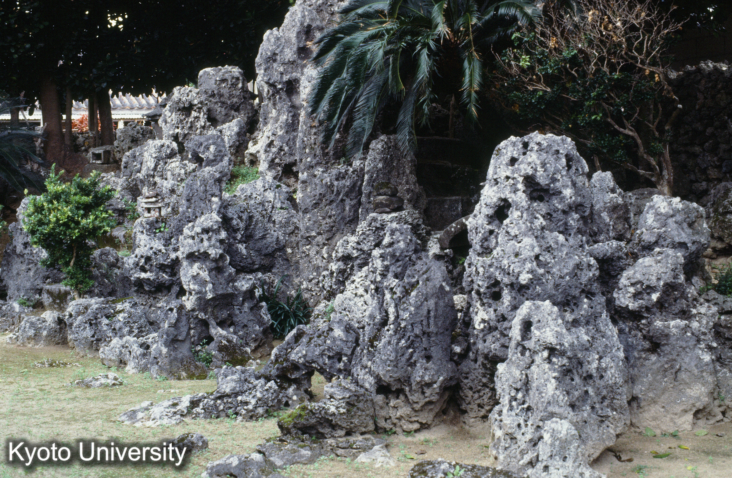 ［スライド］ (1)