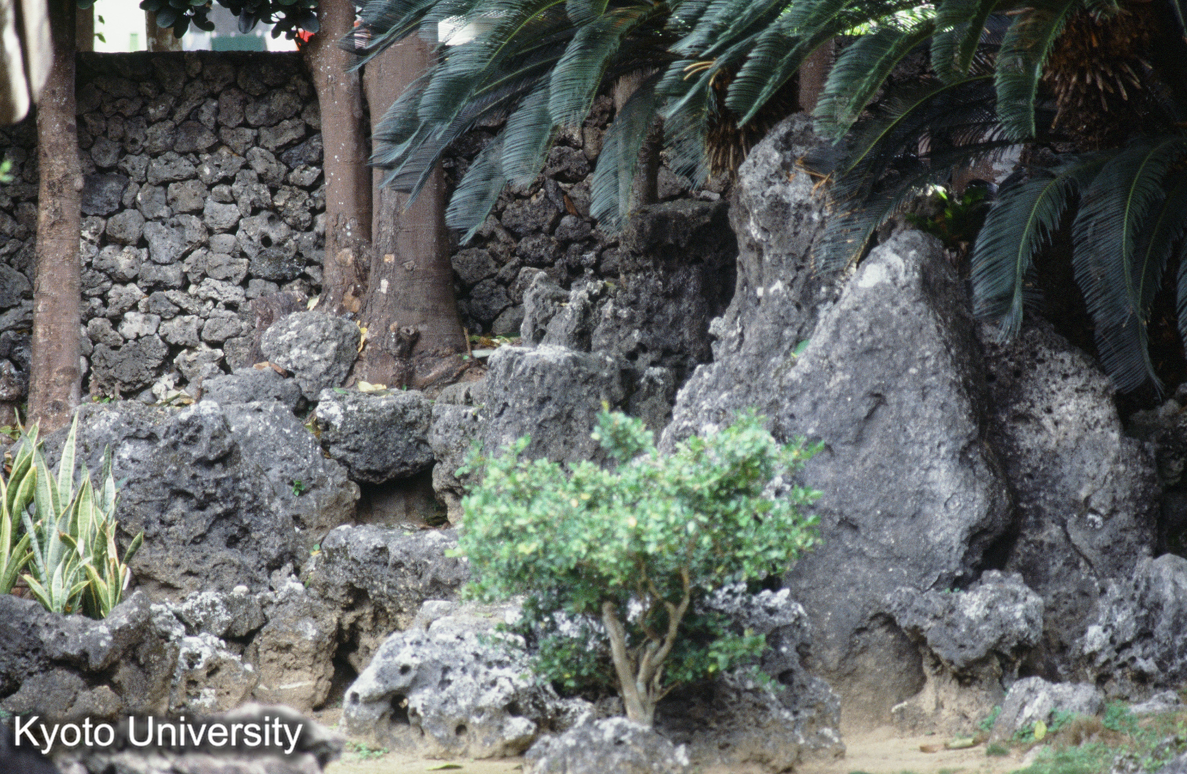 ［スライド］ (1)