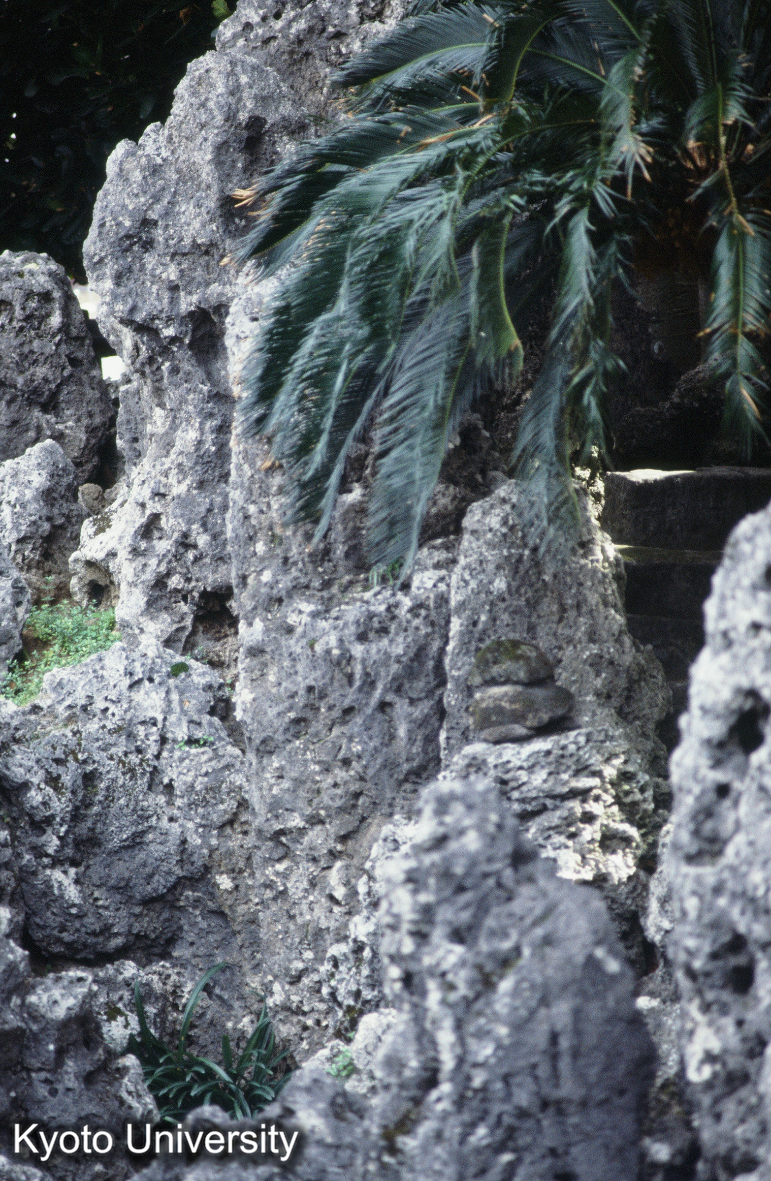 ［スライド］ (1)