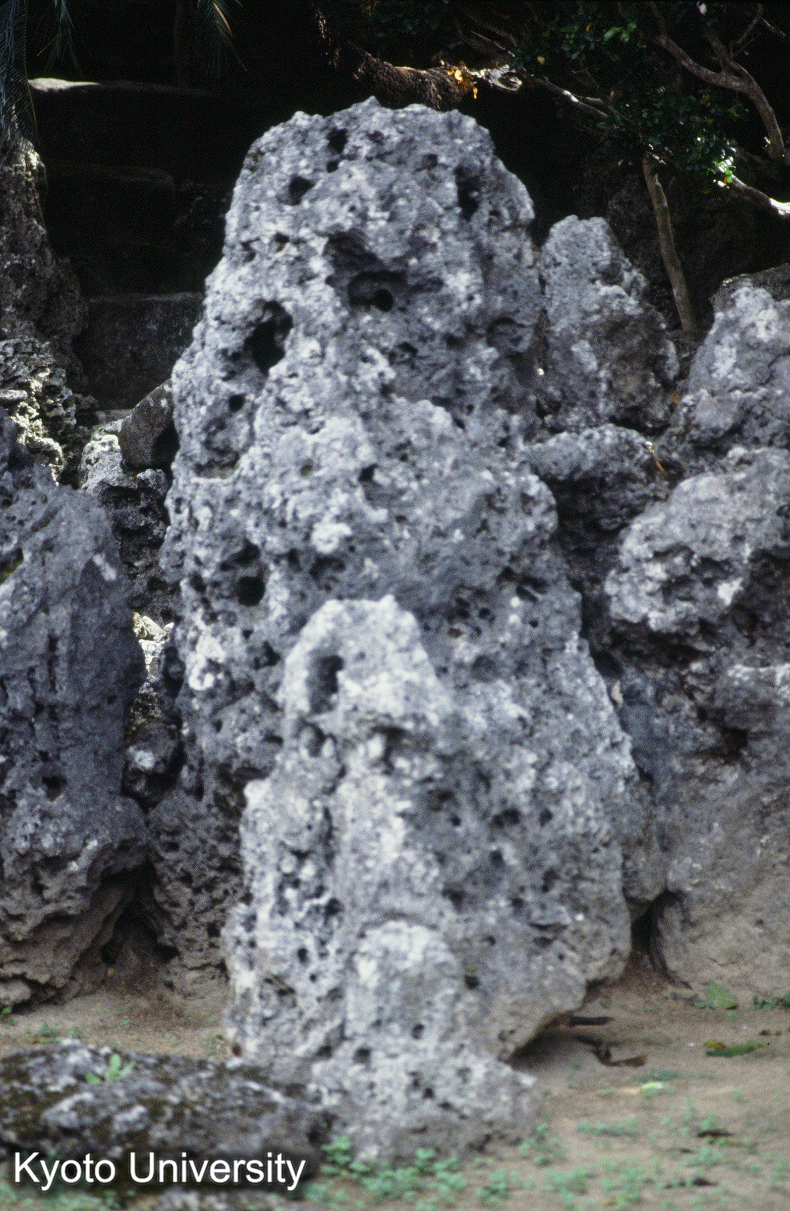 ［スライド］ (1)