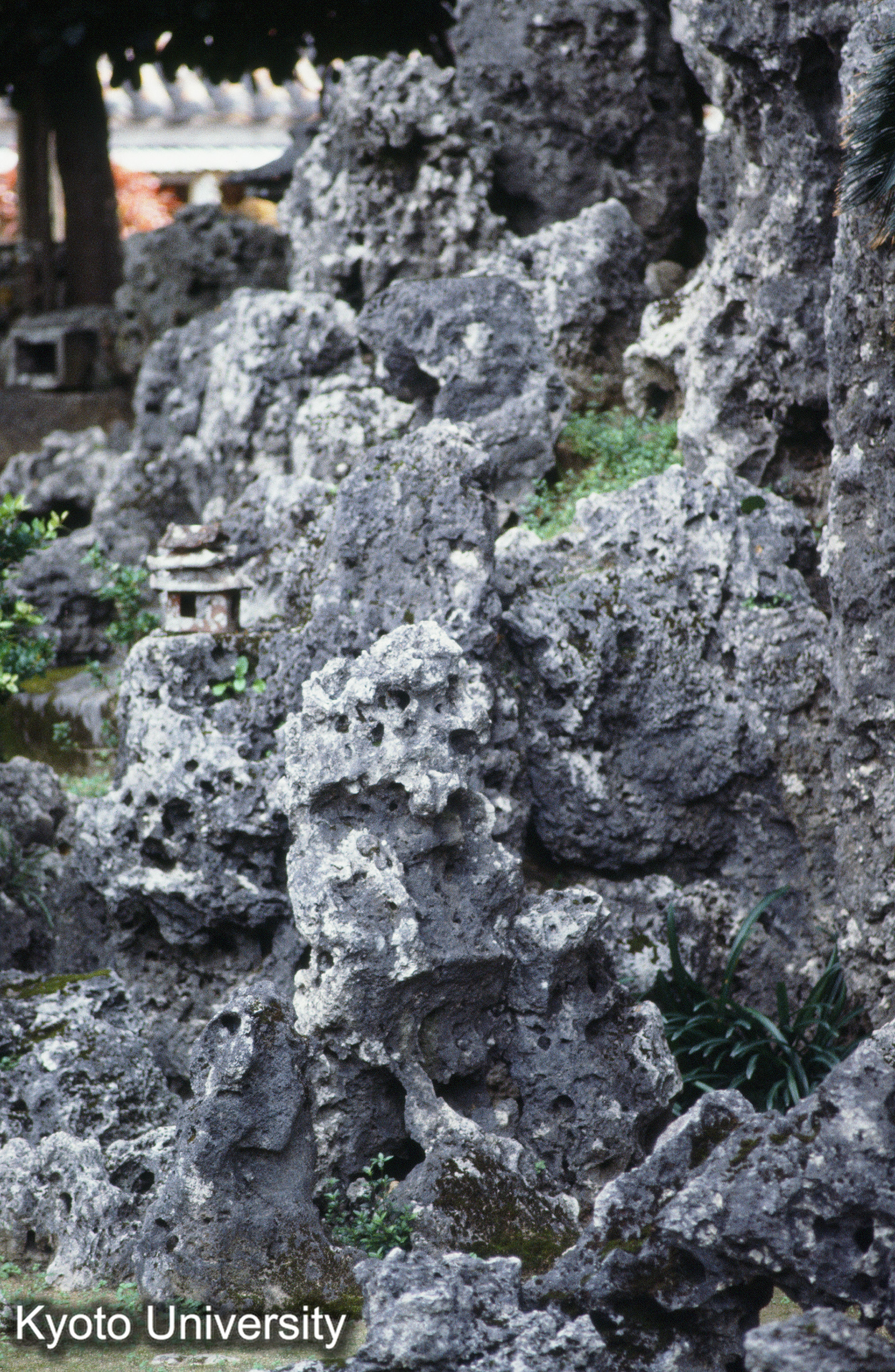 ［スライド］ (1)