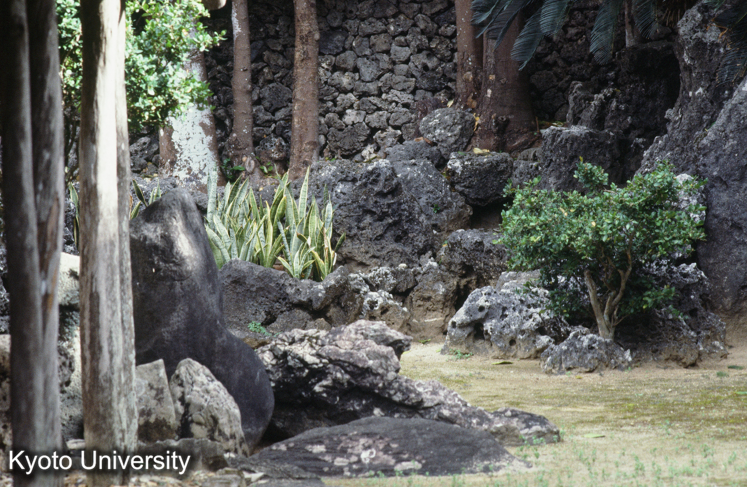 ［スライド］ (1)