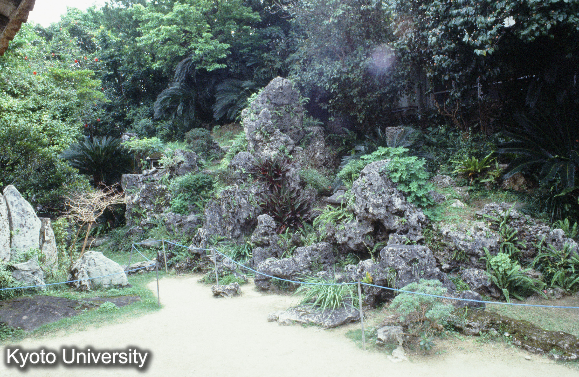 ［スライド］ (1)