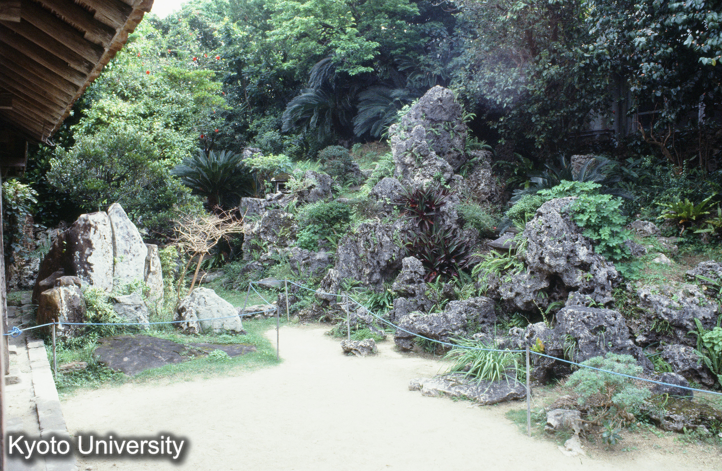 ［スライド］ (1)