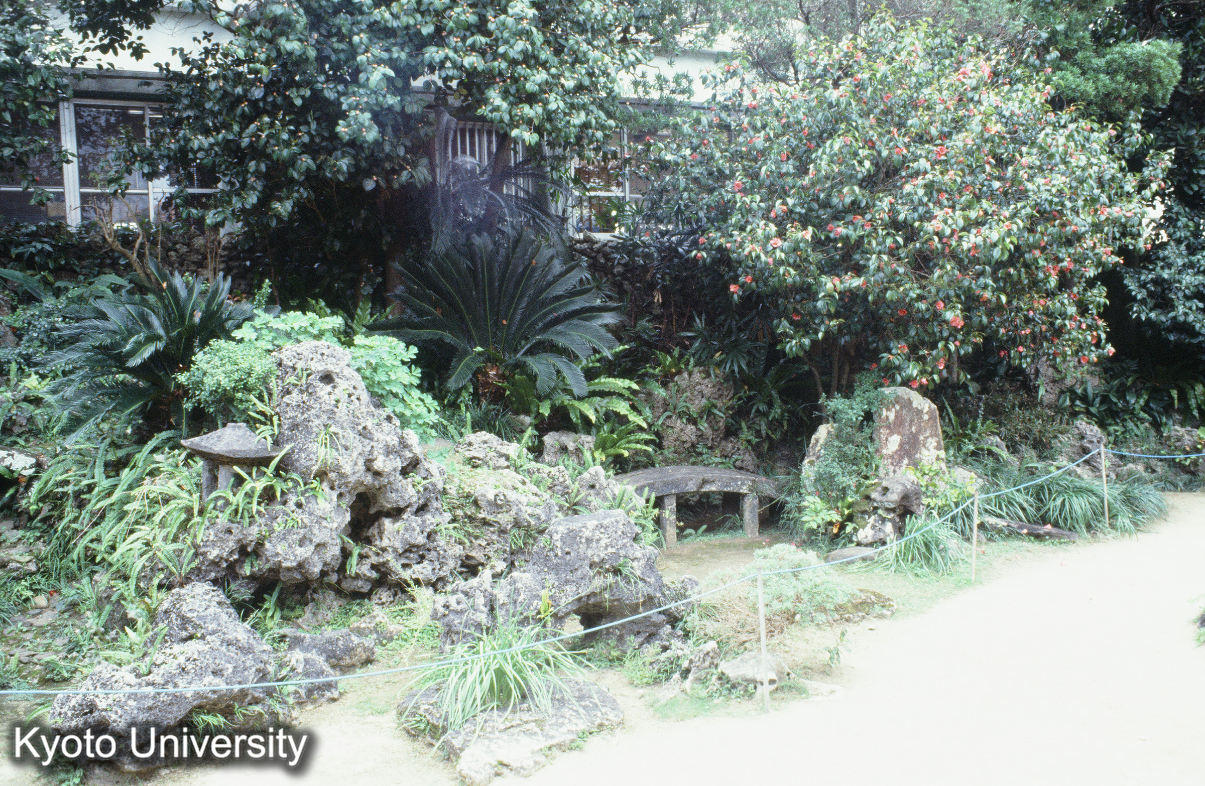 ［スライド］ (1)