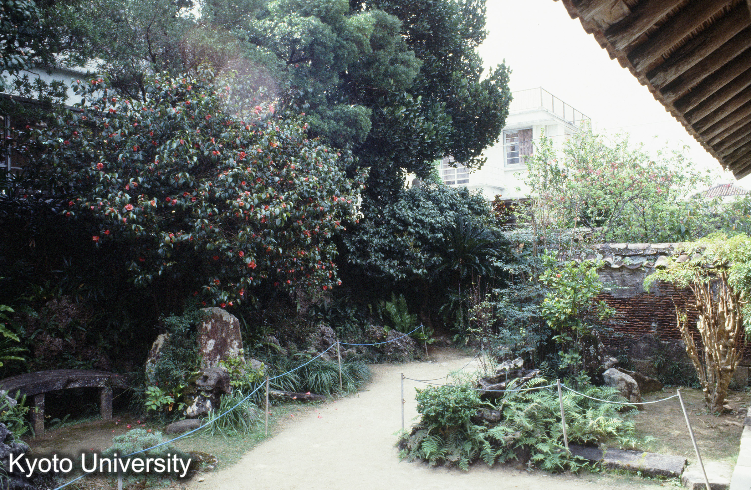 ［スライド］ (1)