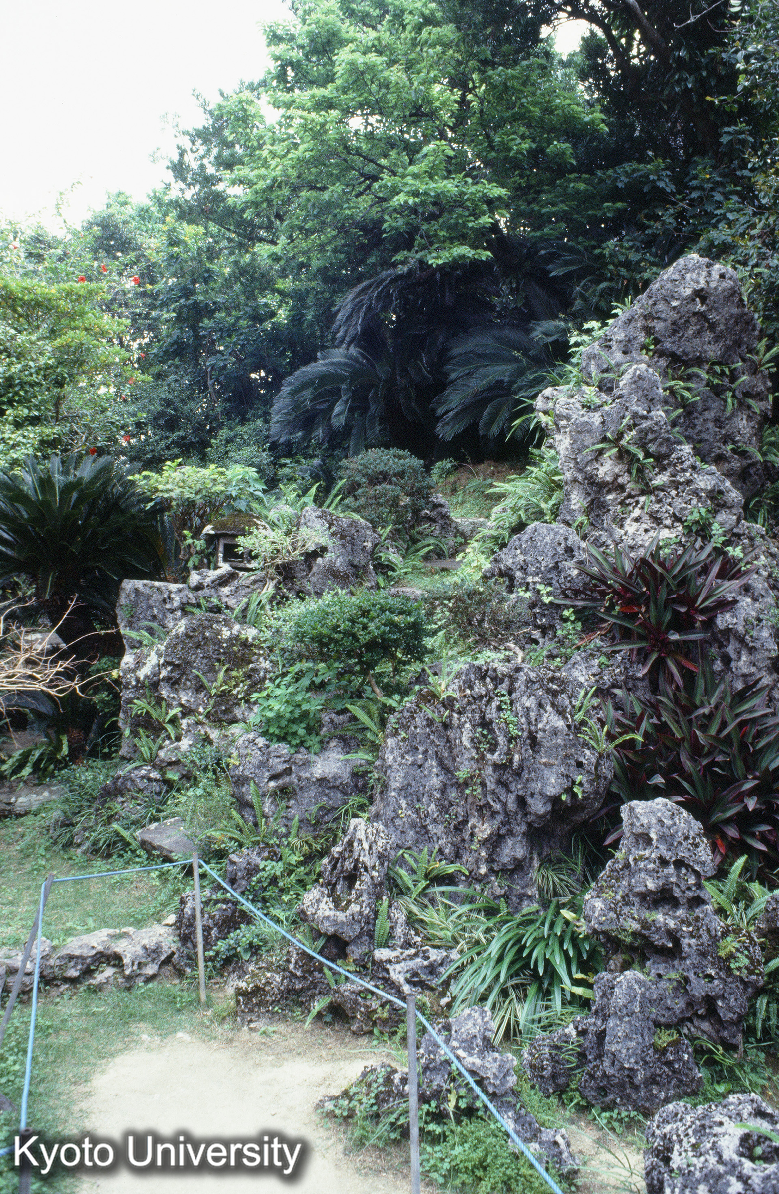 ［スライド］ (1)