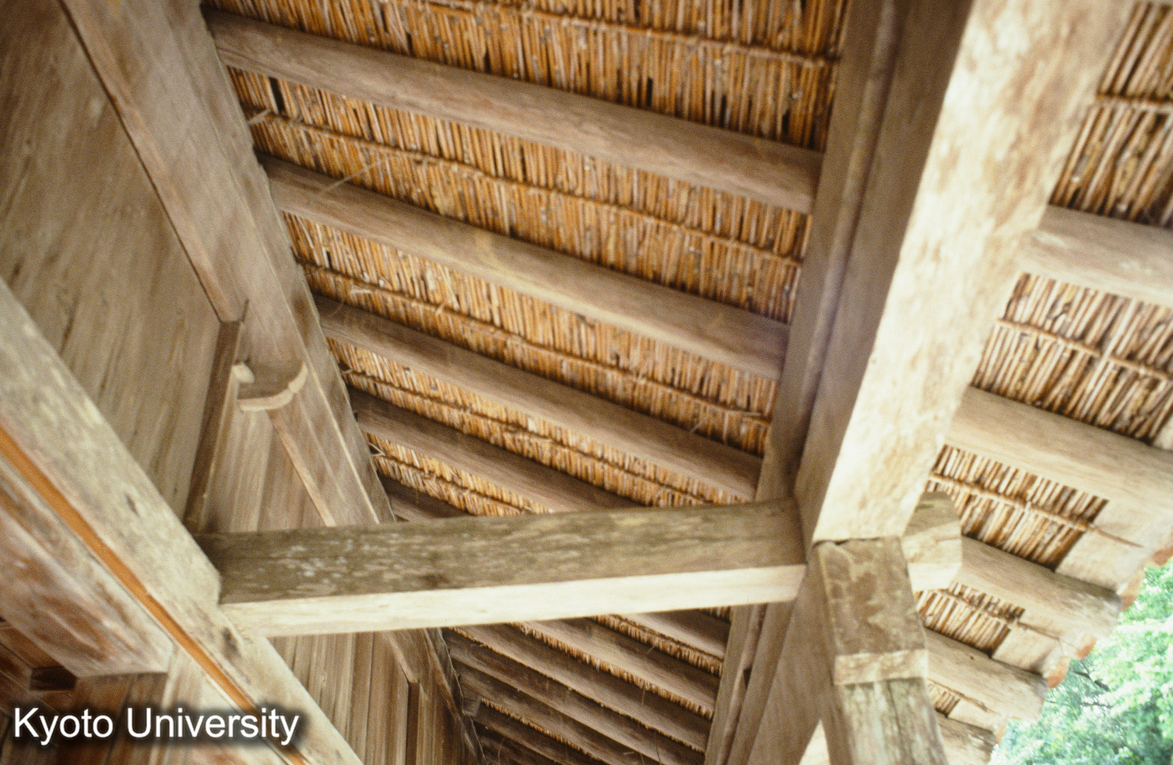 ［スライド］ (1)