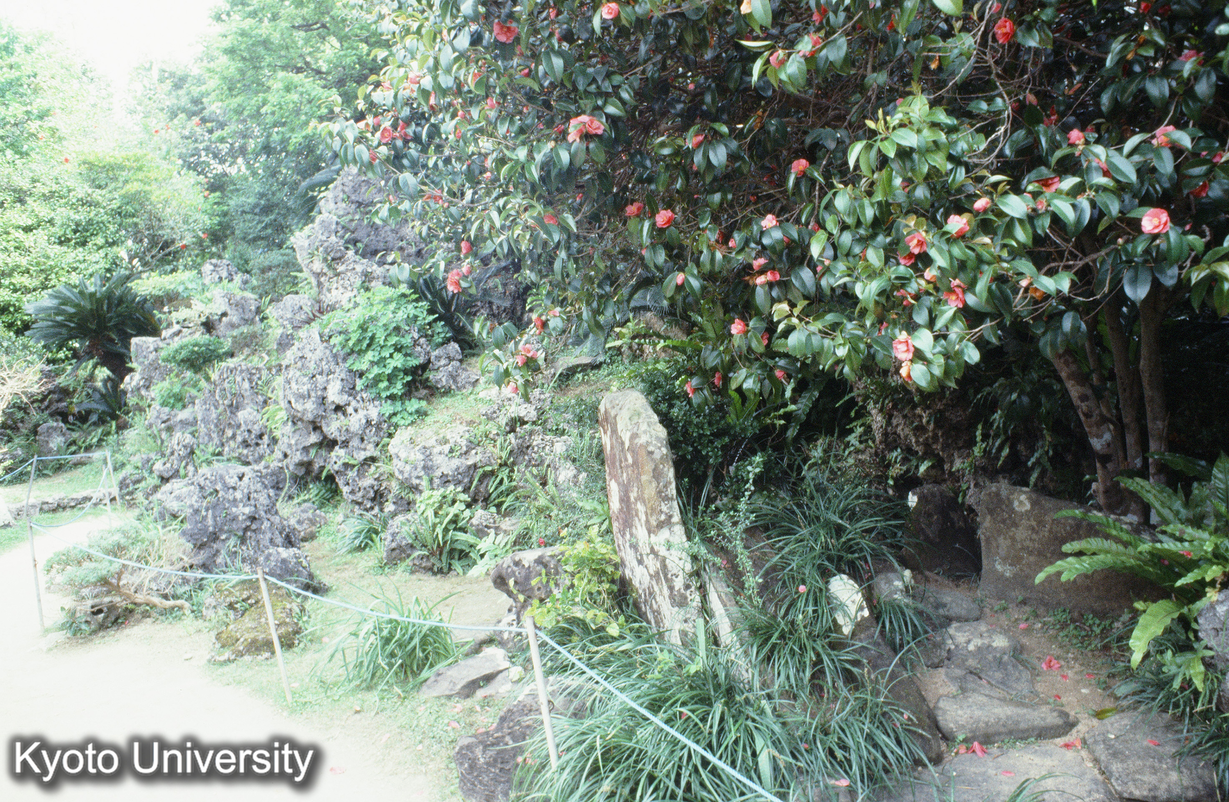 ［スライド］ (1)