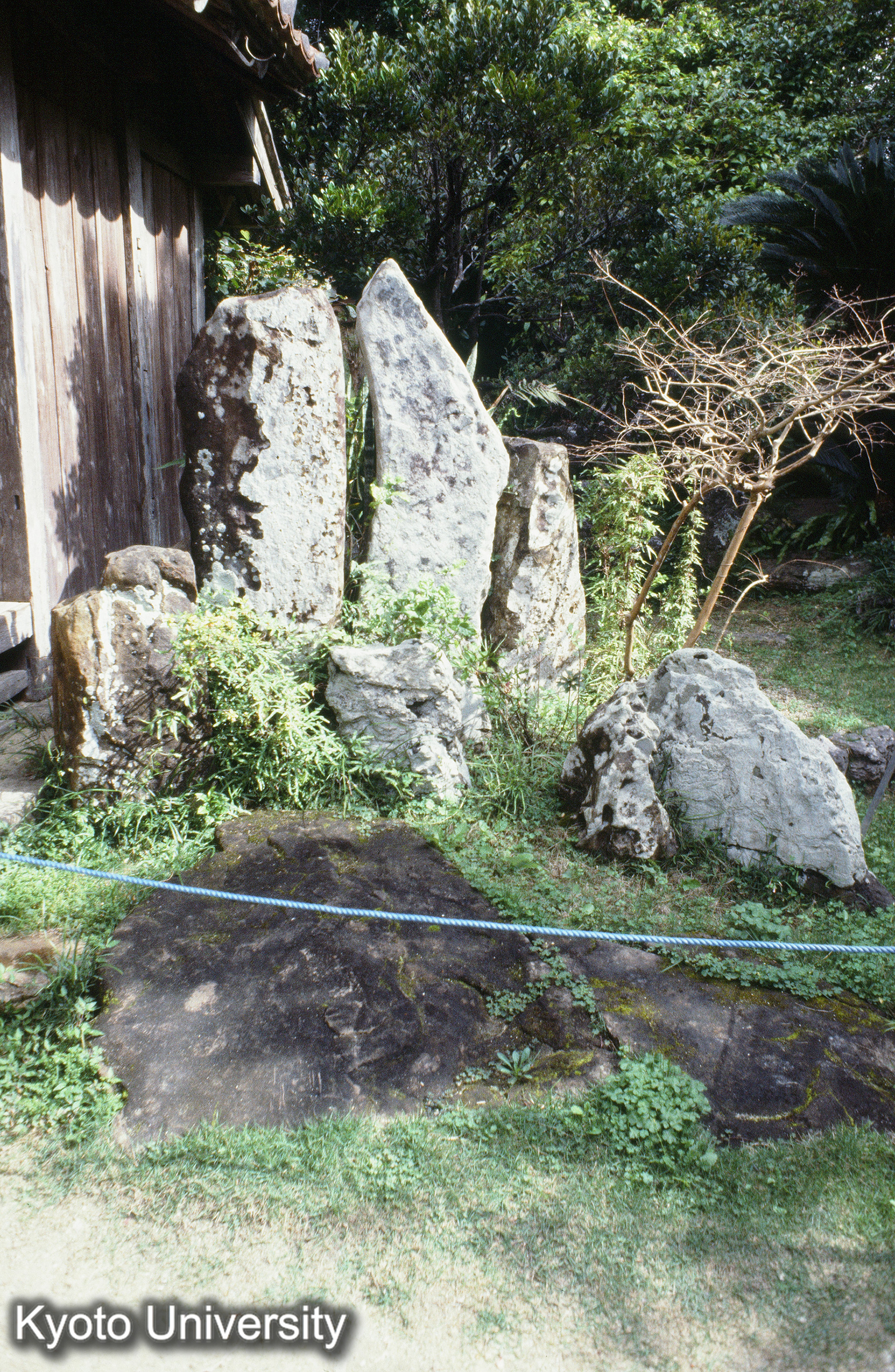 ［スライド］ (1)