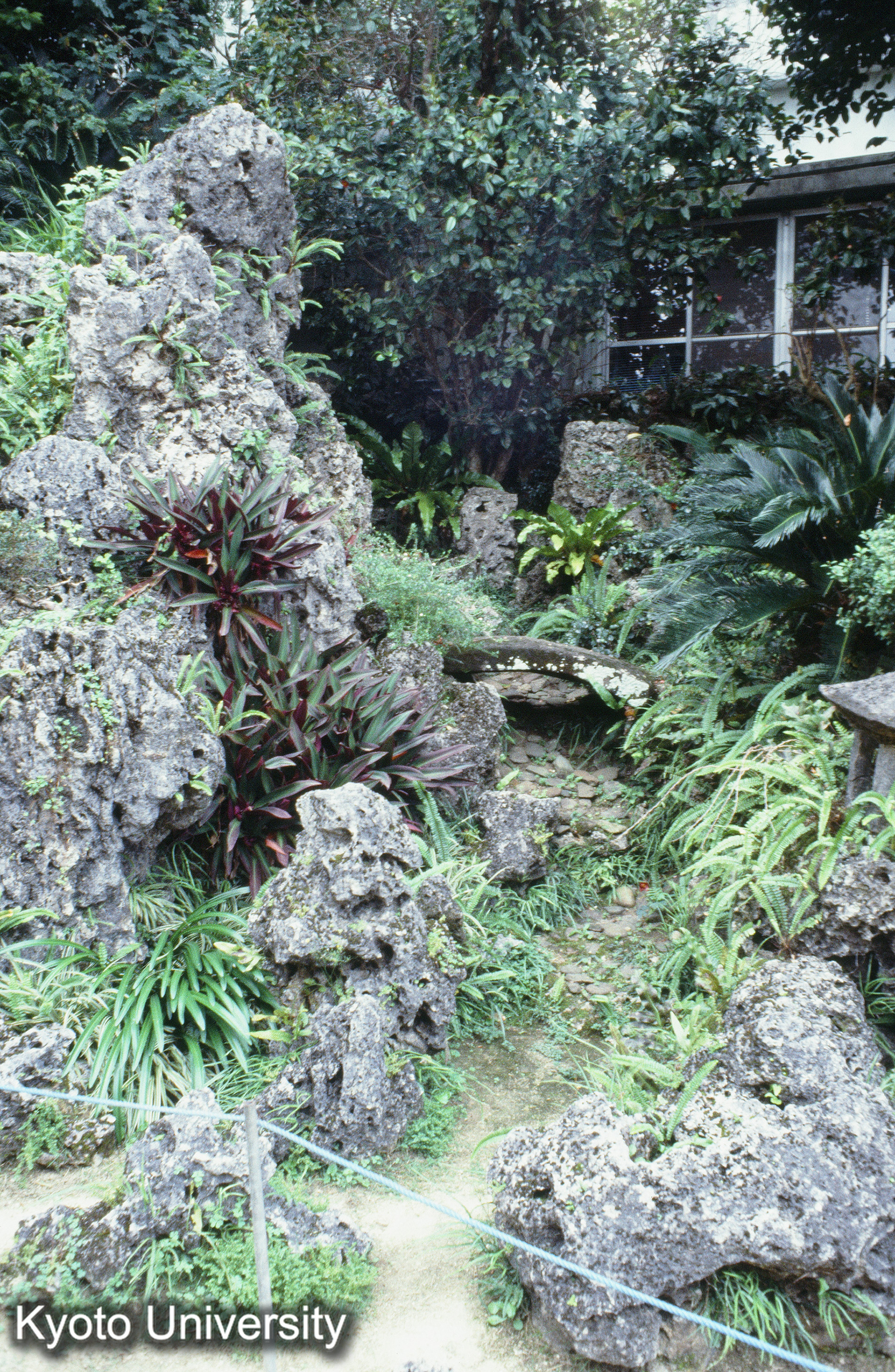 ［スライド］ (1)