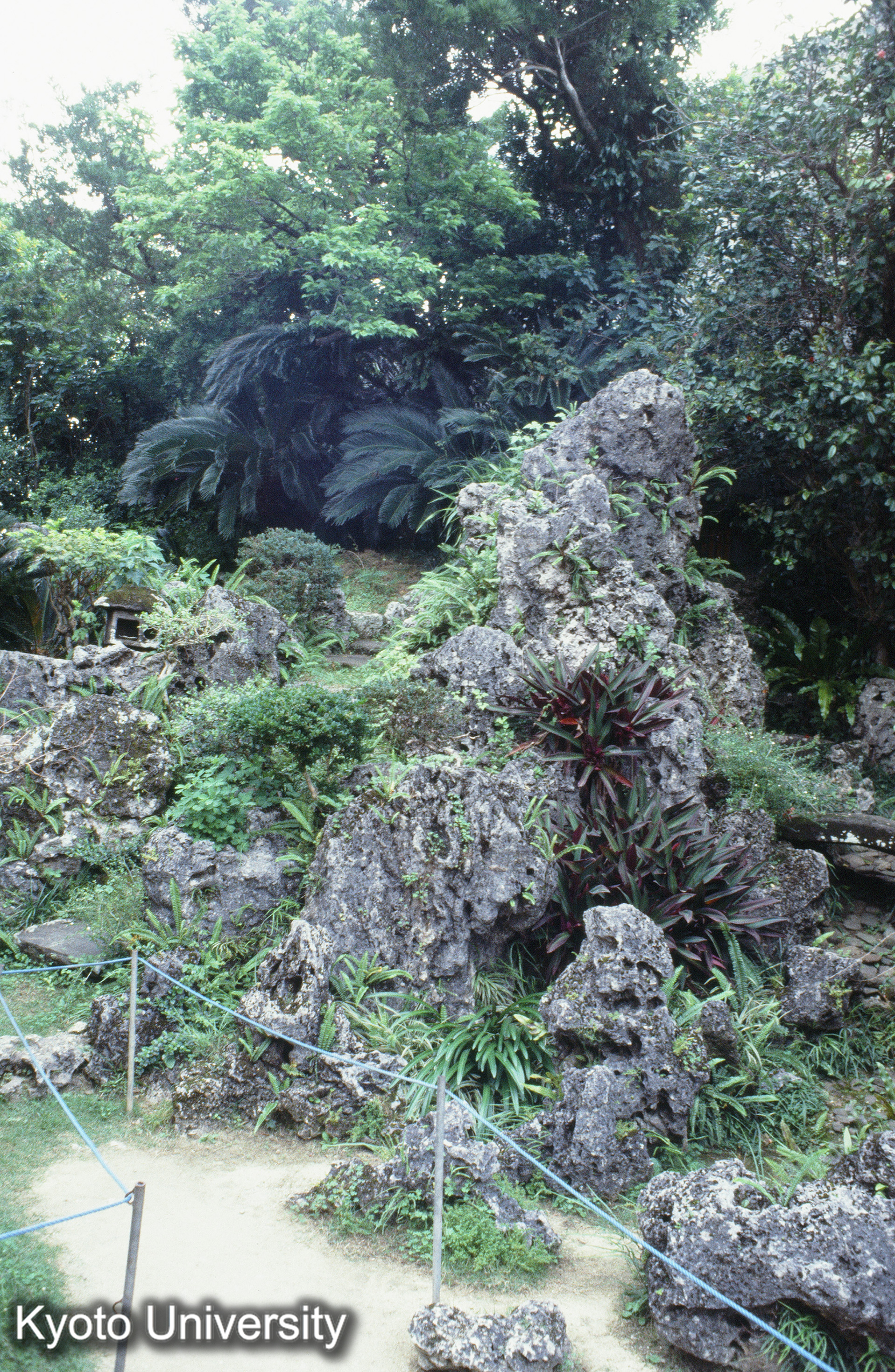 ［スライド］ (1)