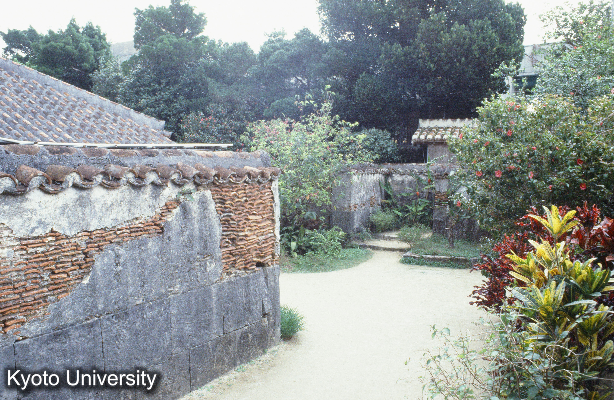 ［スライド］ (1)