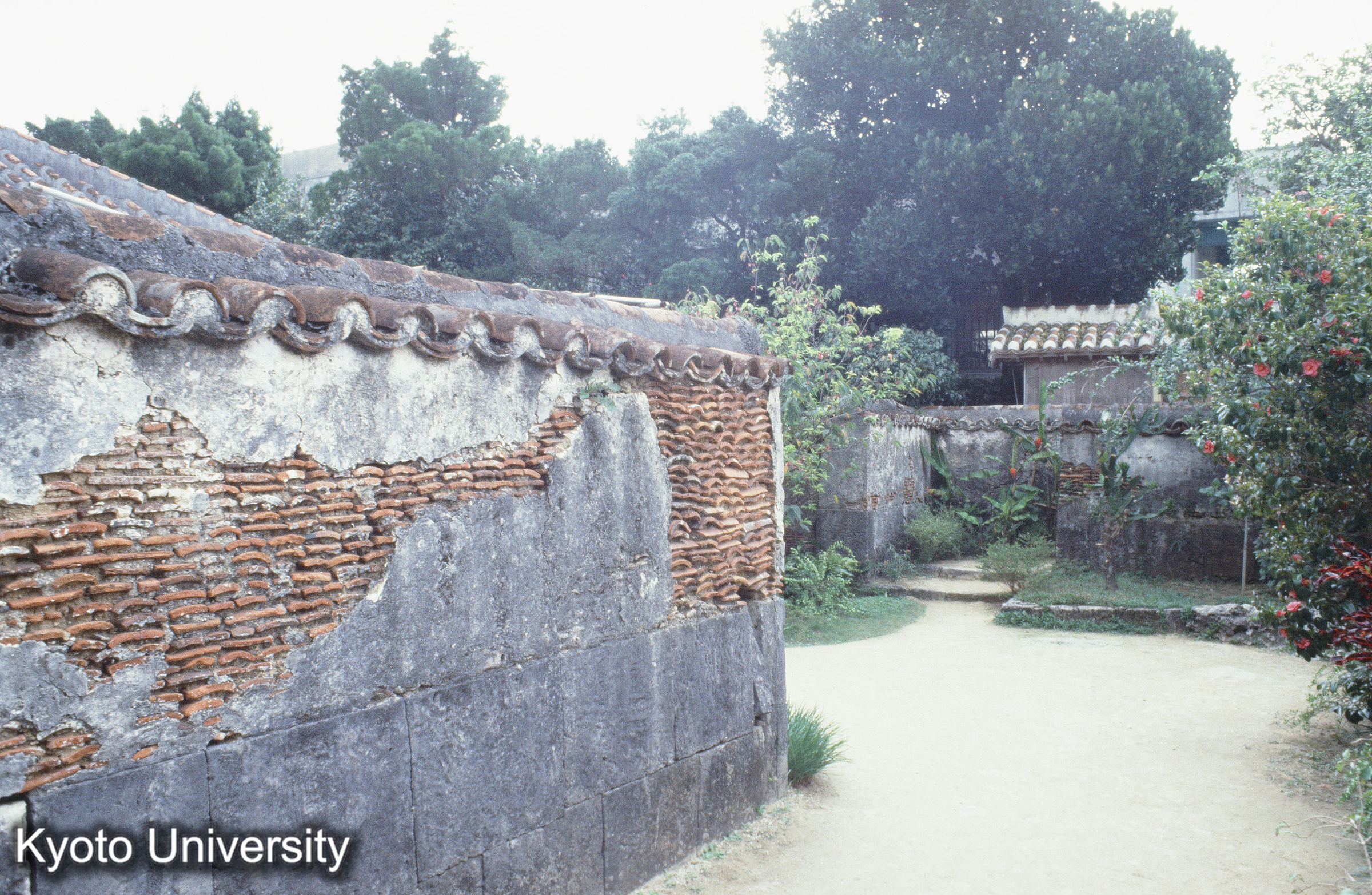 ［スライド］ (1)