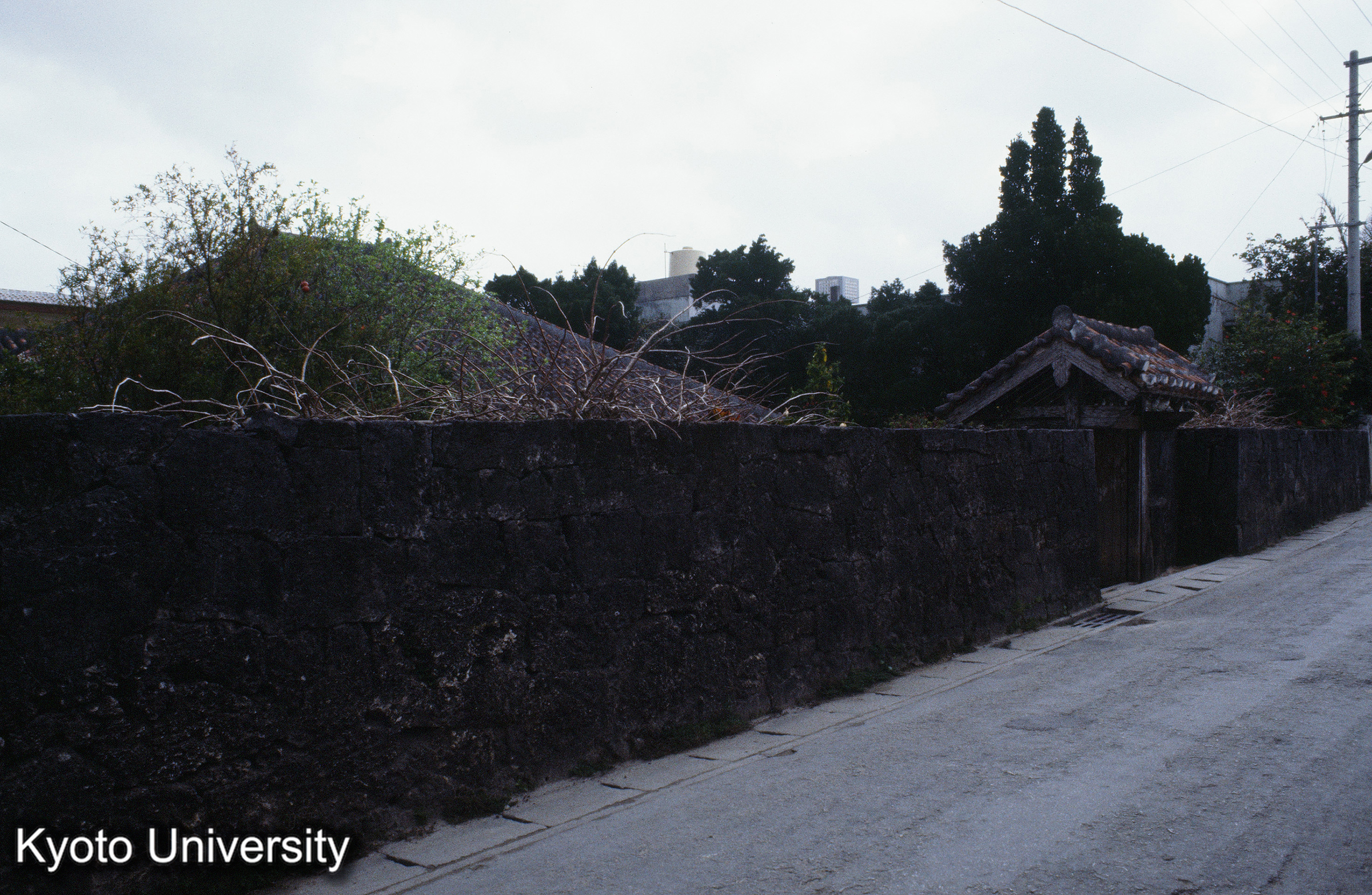 ［スライド］ (1)