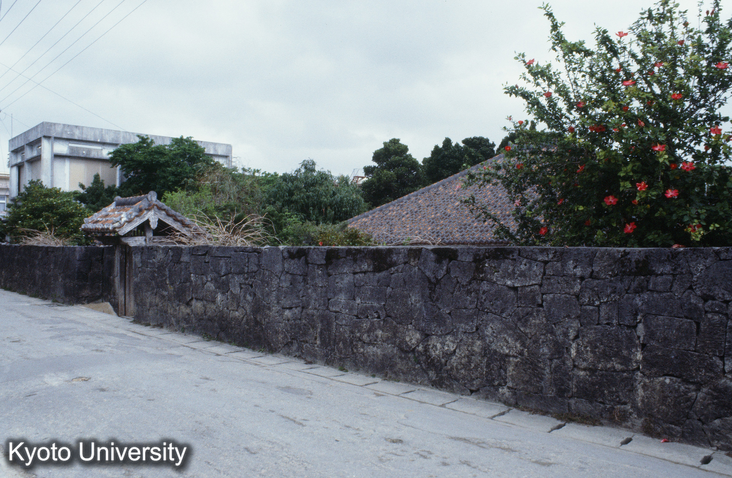 ［スライド］ (1)