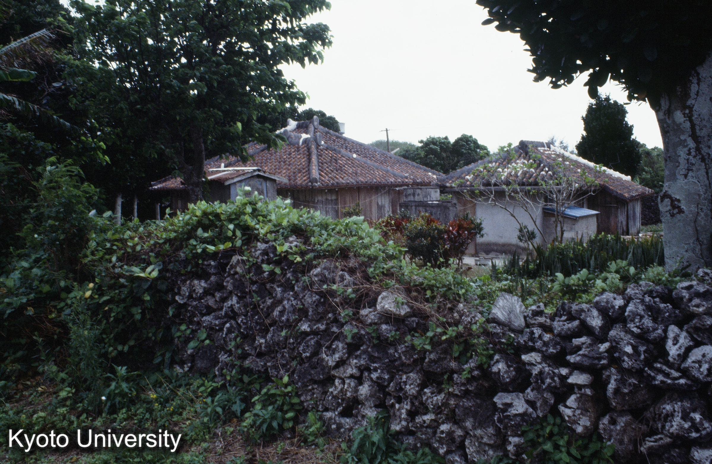 ［スライド］ (1)