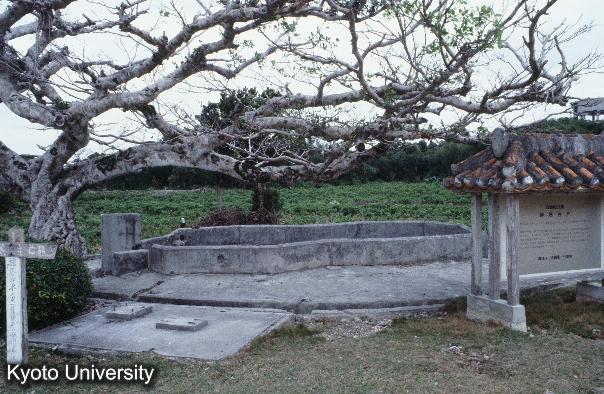 ［スライド］ (1)