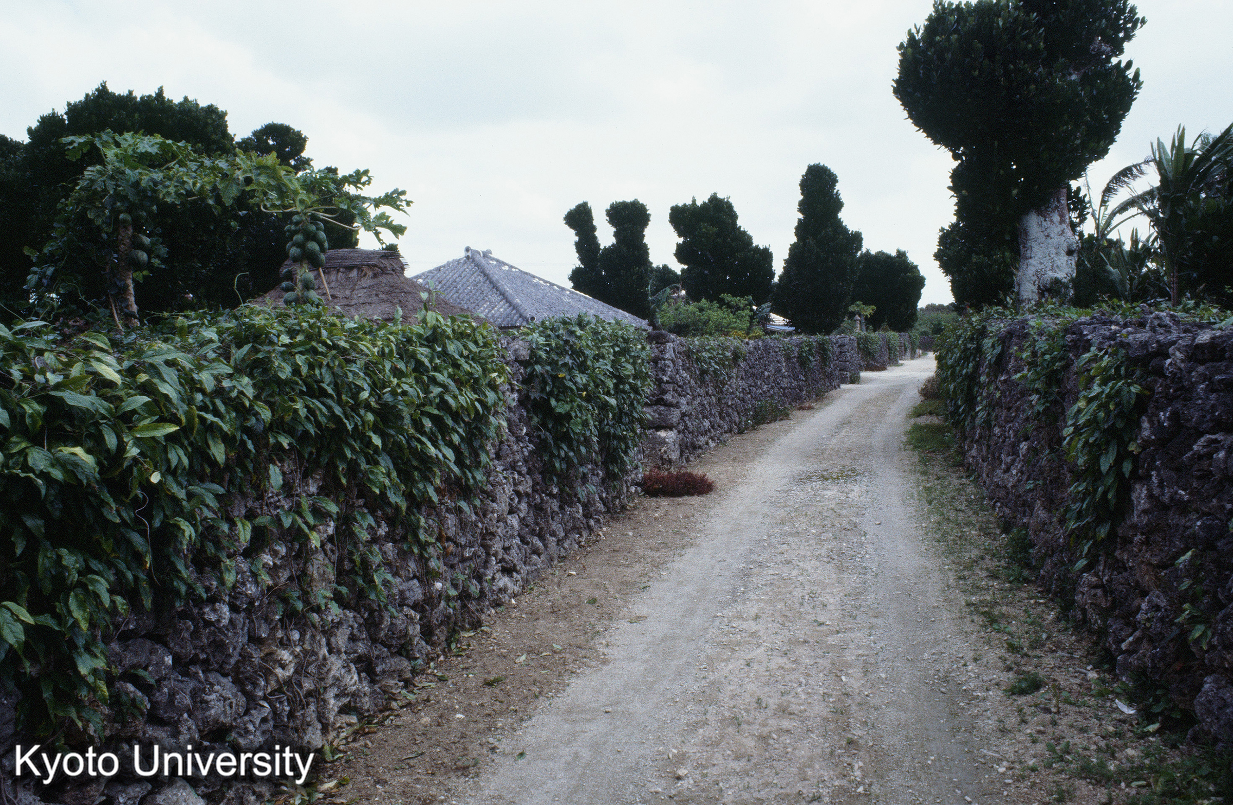 ［スライド］ (1)