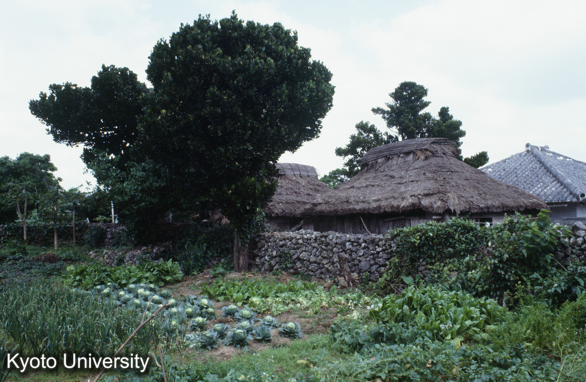 ［スライド］ (1)