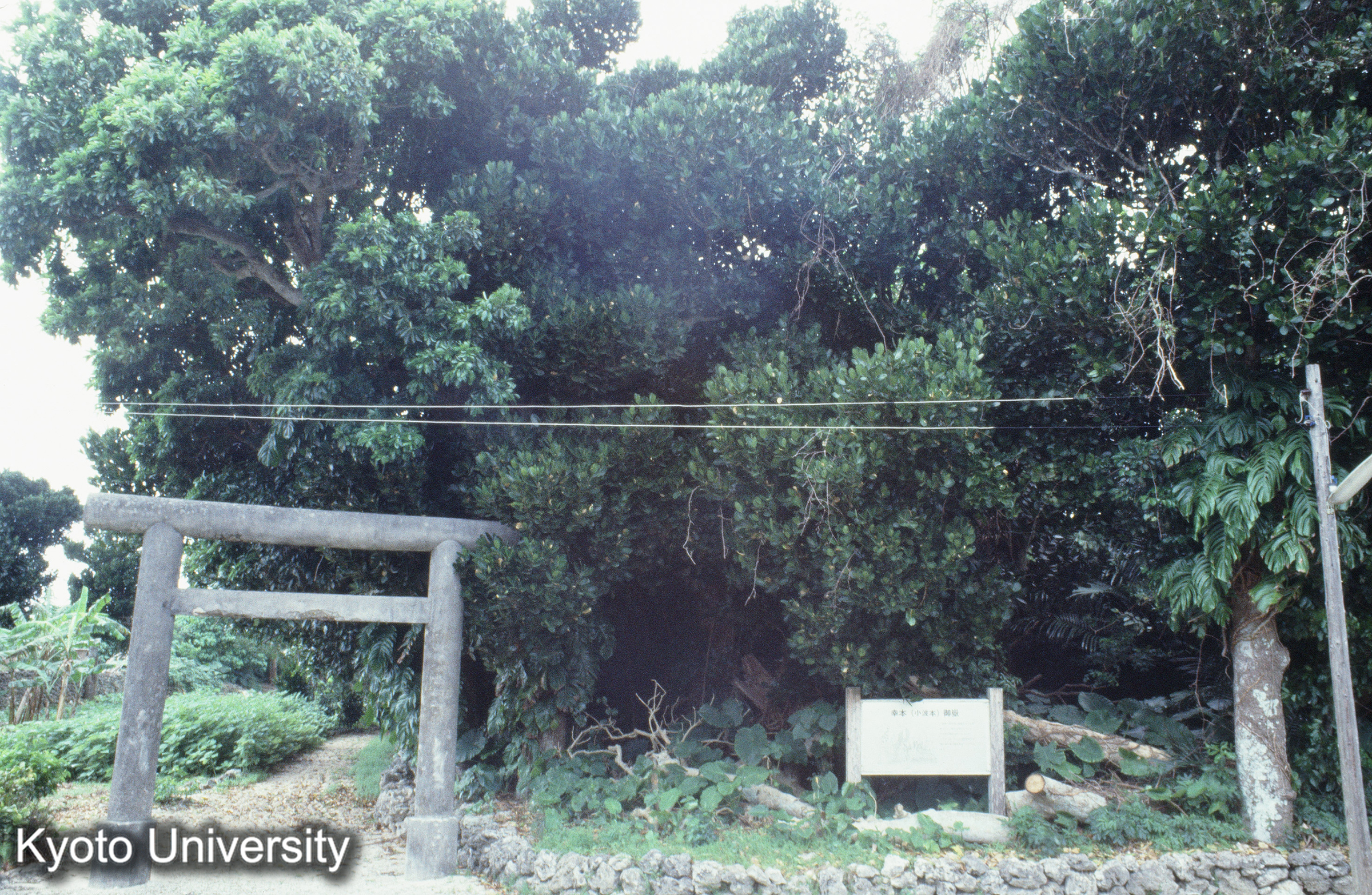 ［スライド］ (1)