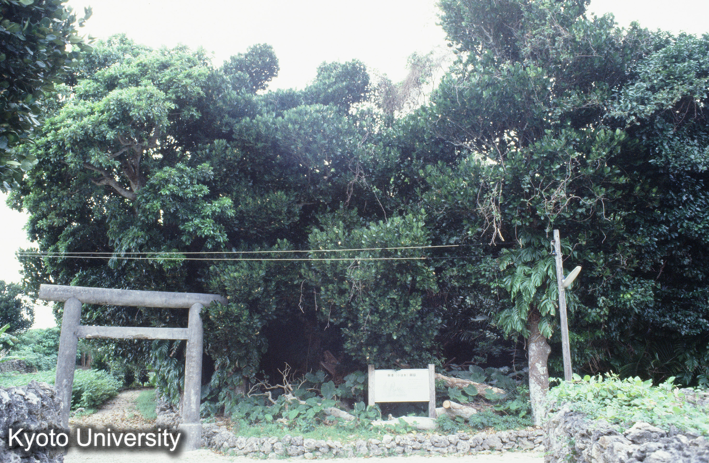 ［スライド］ (1)