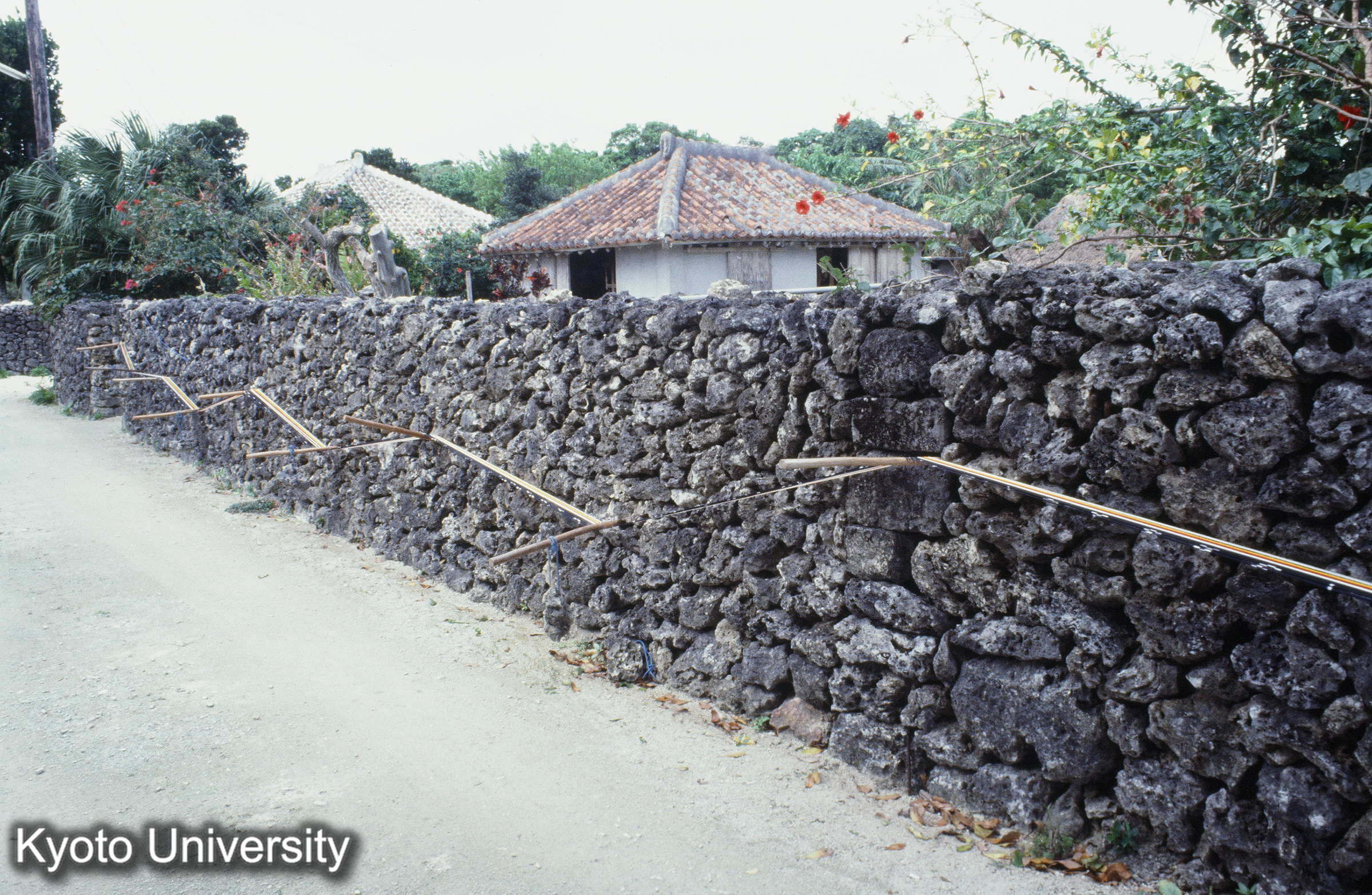 ［スライド］ (1)