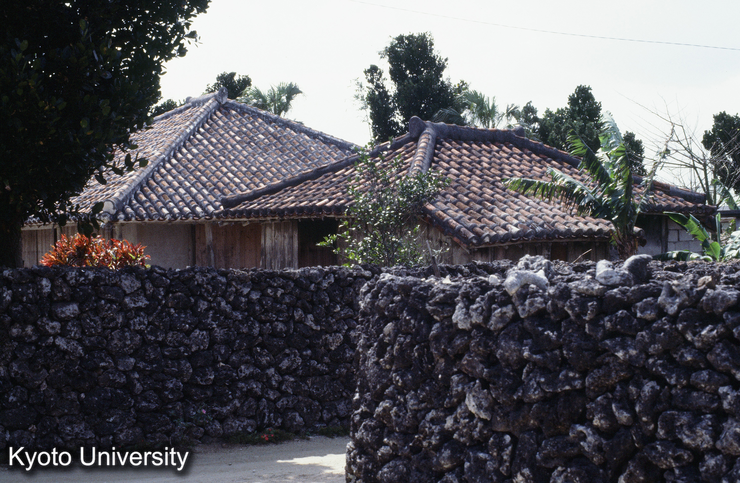 ［スライド］ (1)