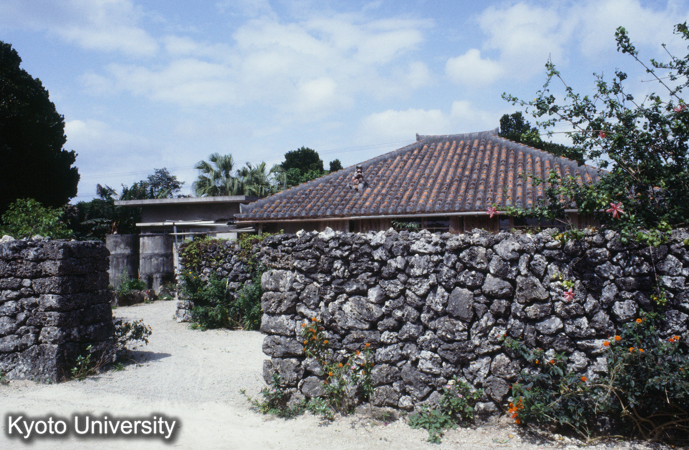 ［スライド］ (1)