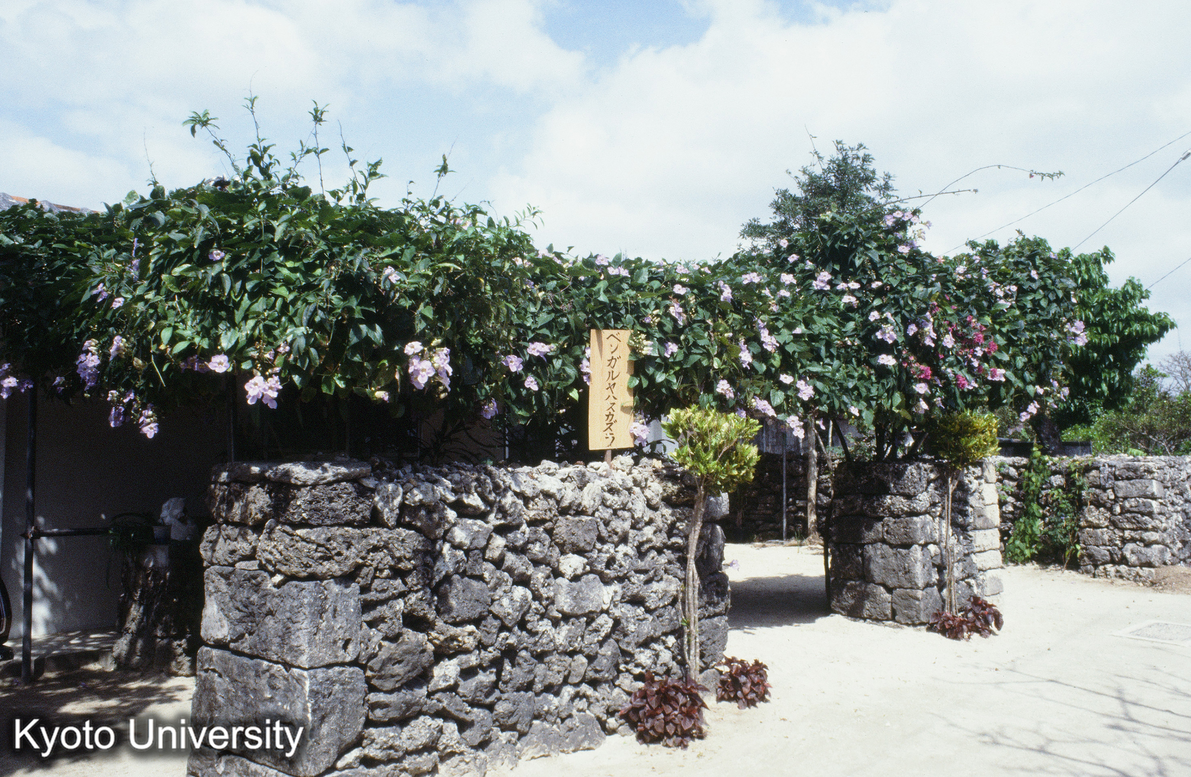 ［スライド］ (1)