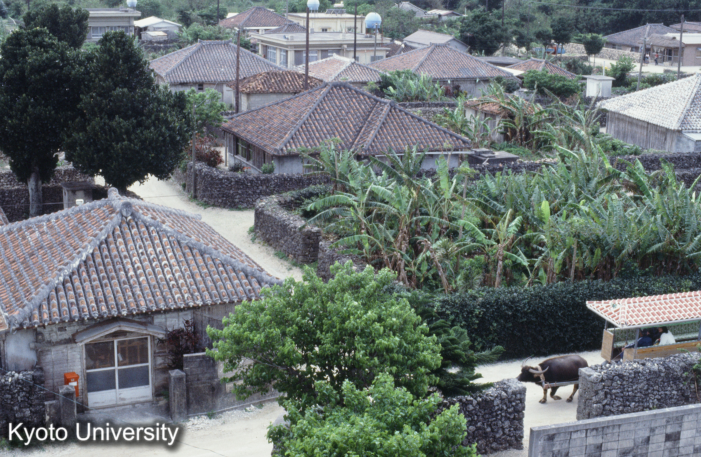 ［スライド］ (1)