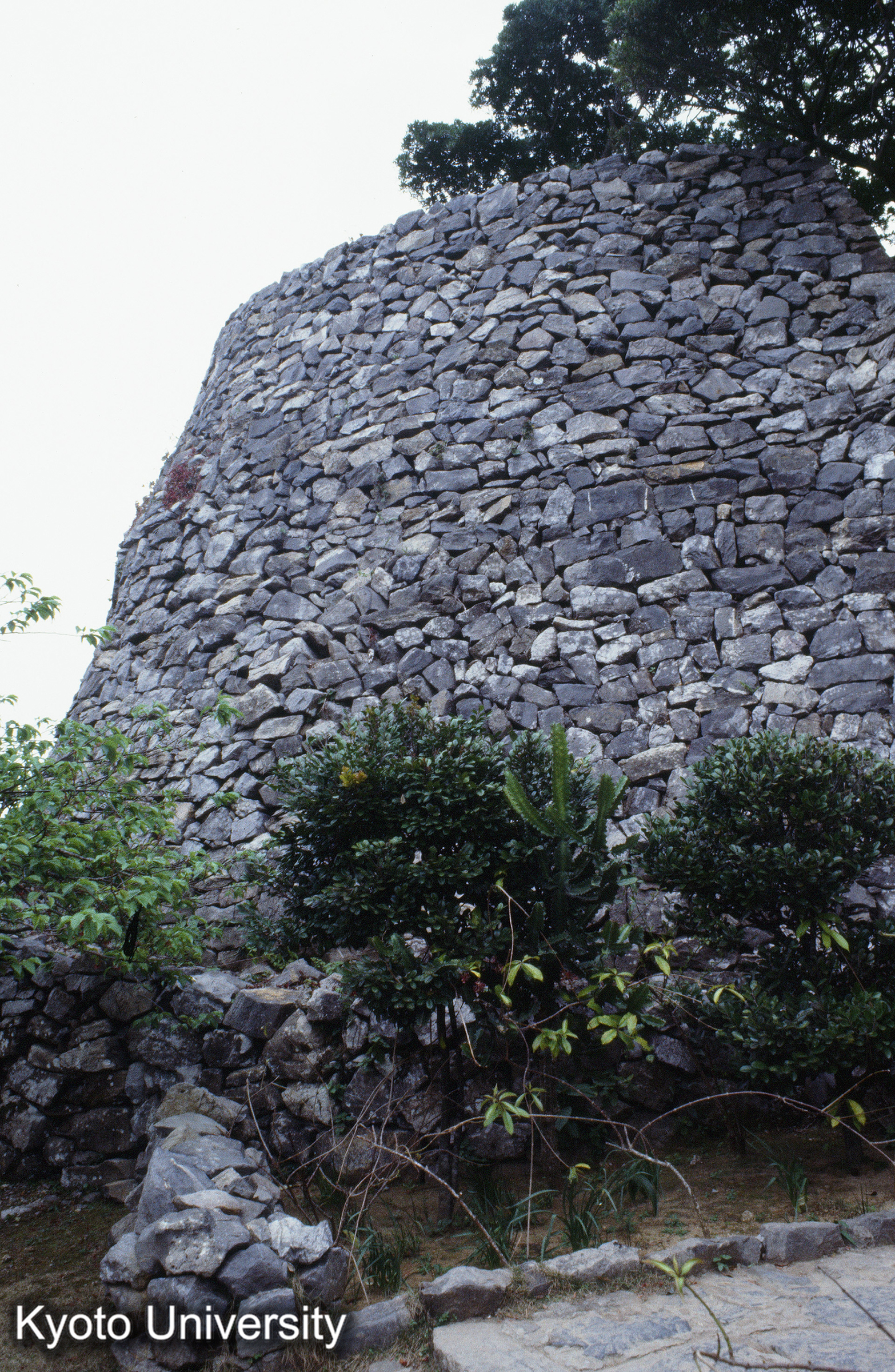 ［スライド］ (1)