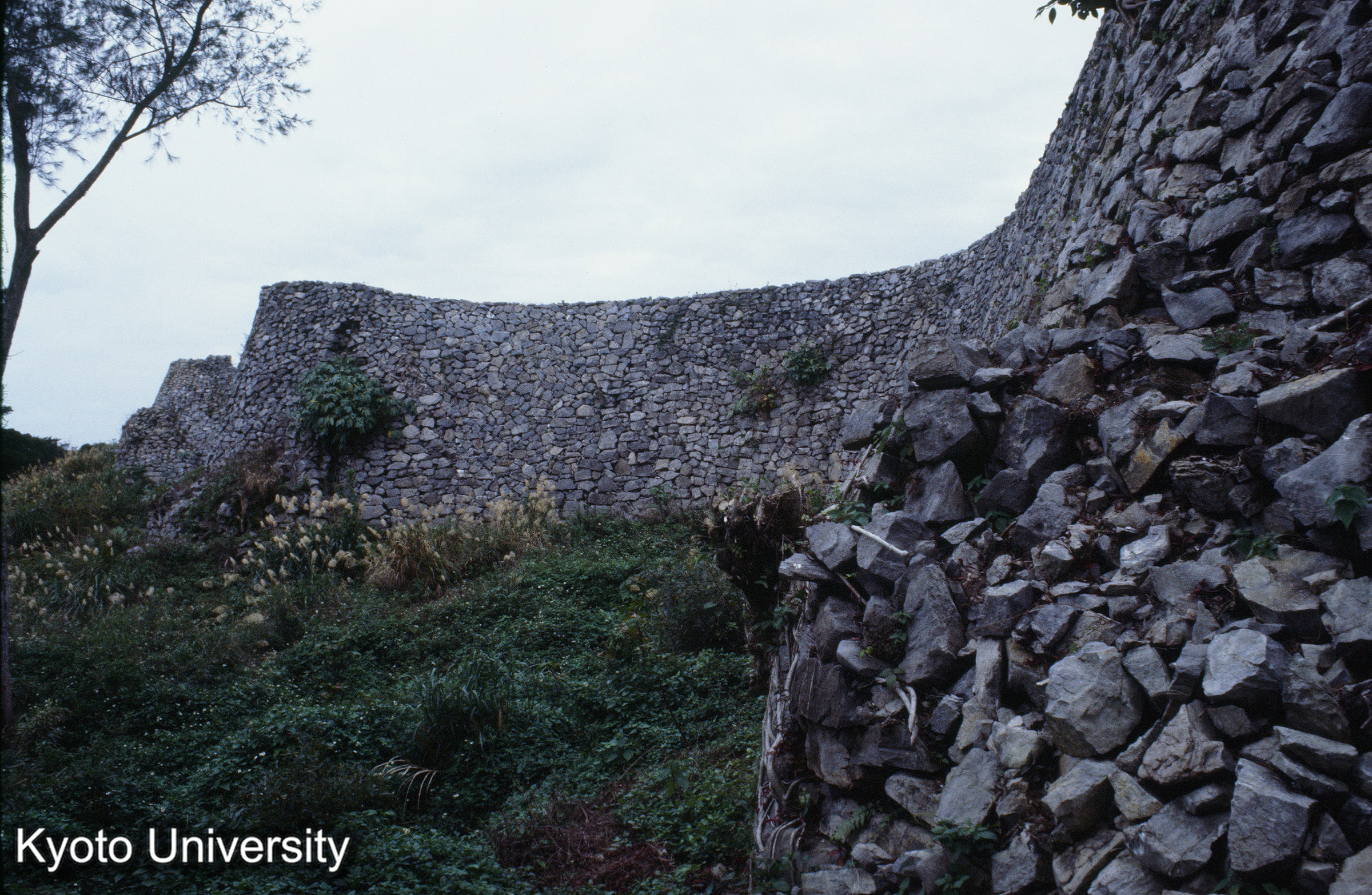 ［スライド］ (1)