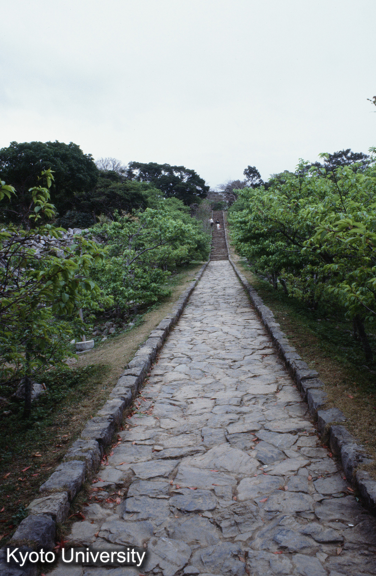 ［スライド］ (1)