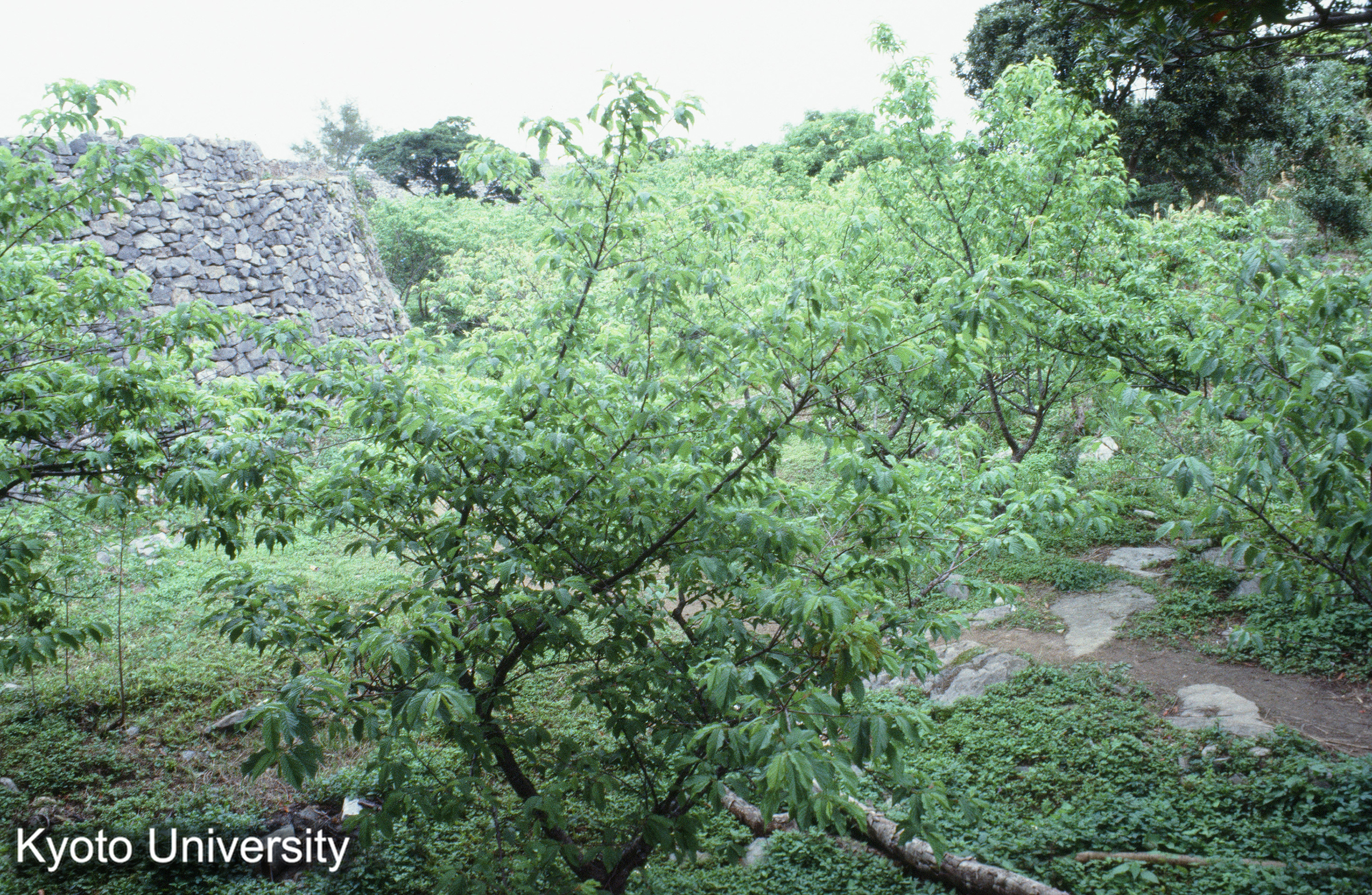 ［スライド］ (1)