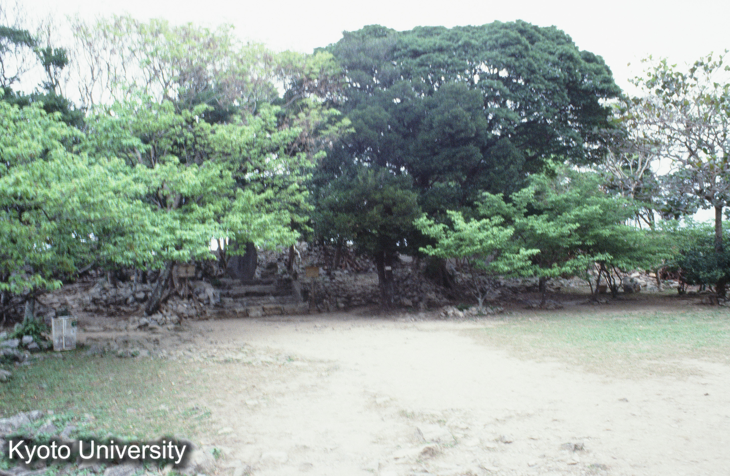 ［スライド］ (1)