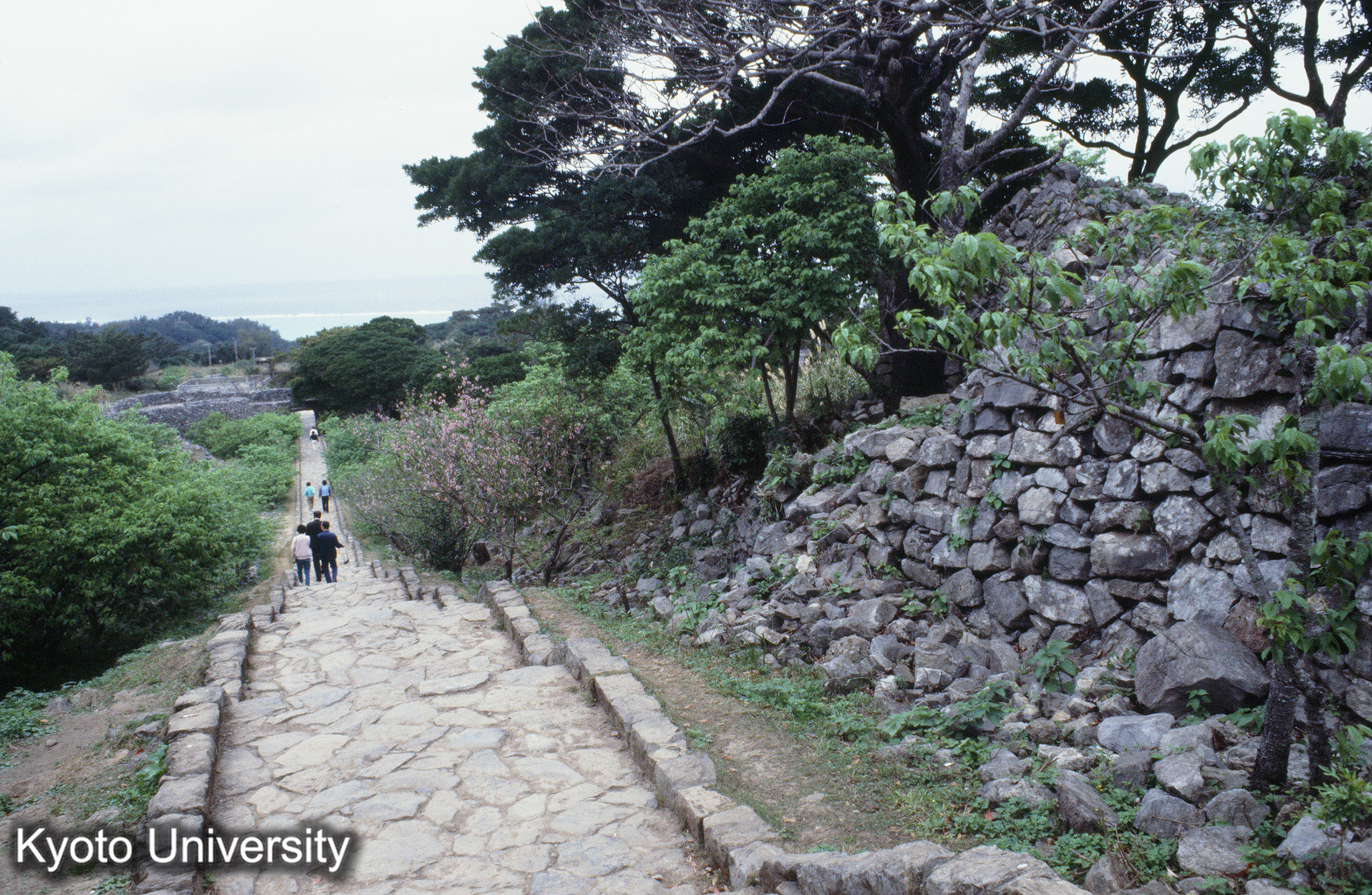 ［スライド］ (1)