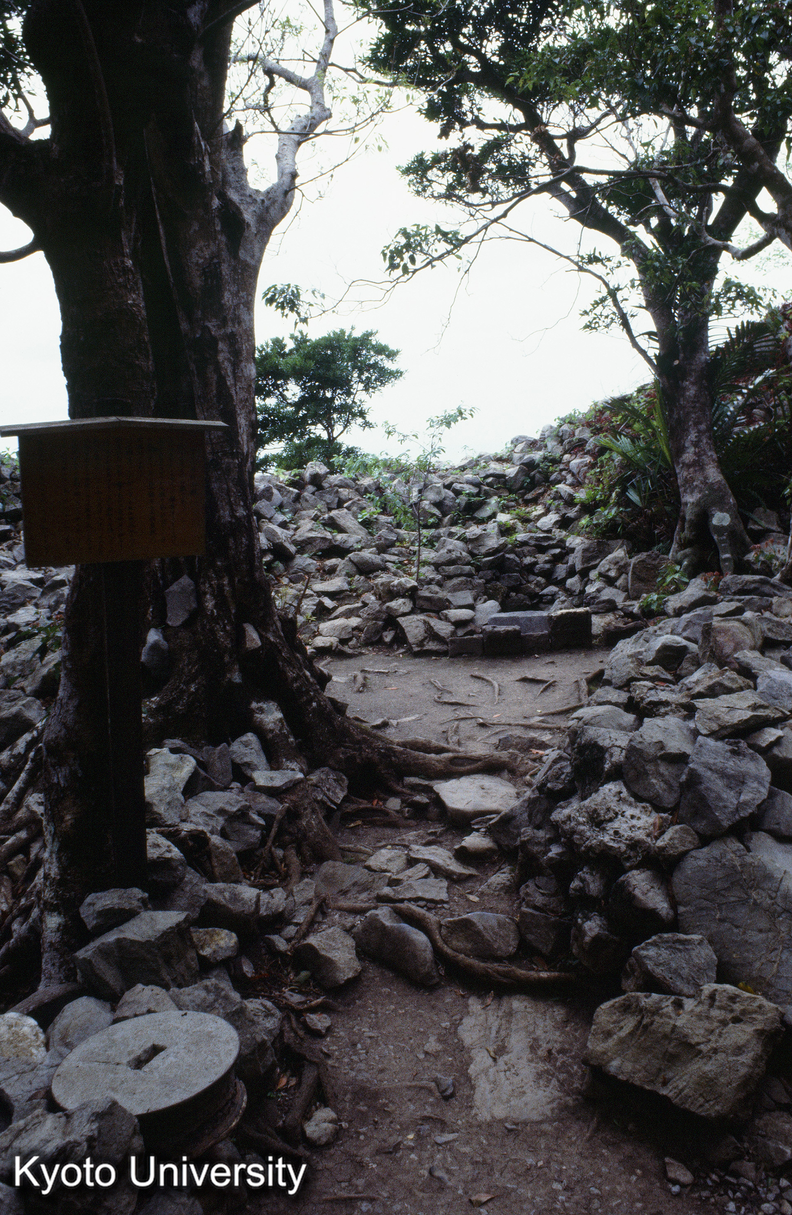 ［スライド］ (1)