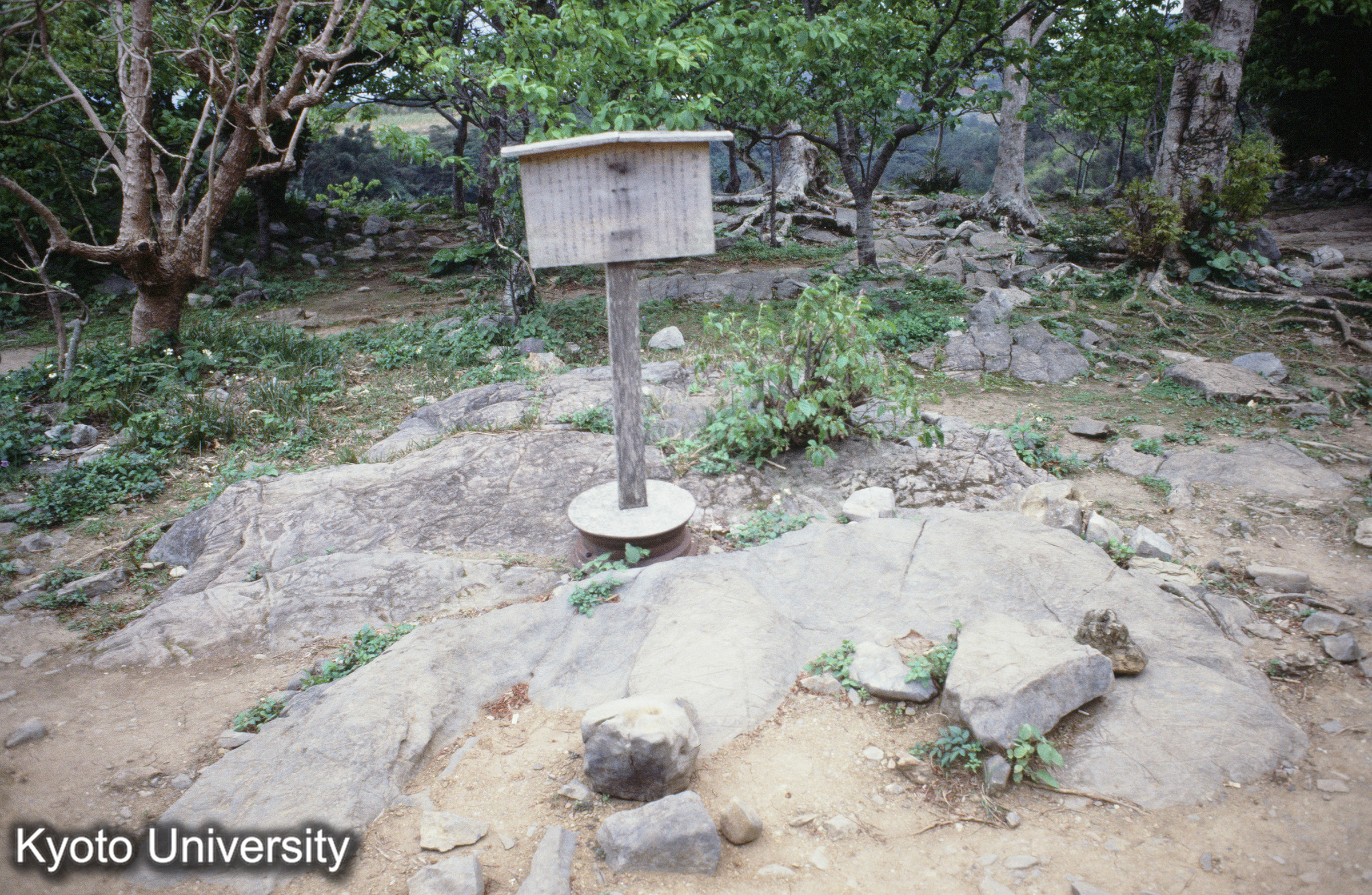 ［スライド］ (1)