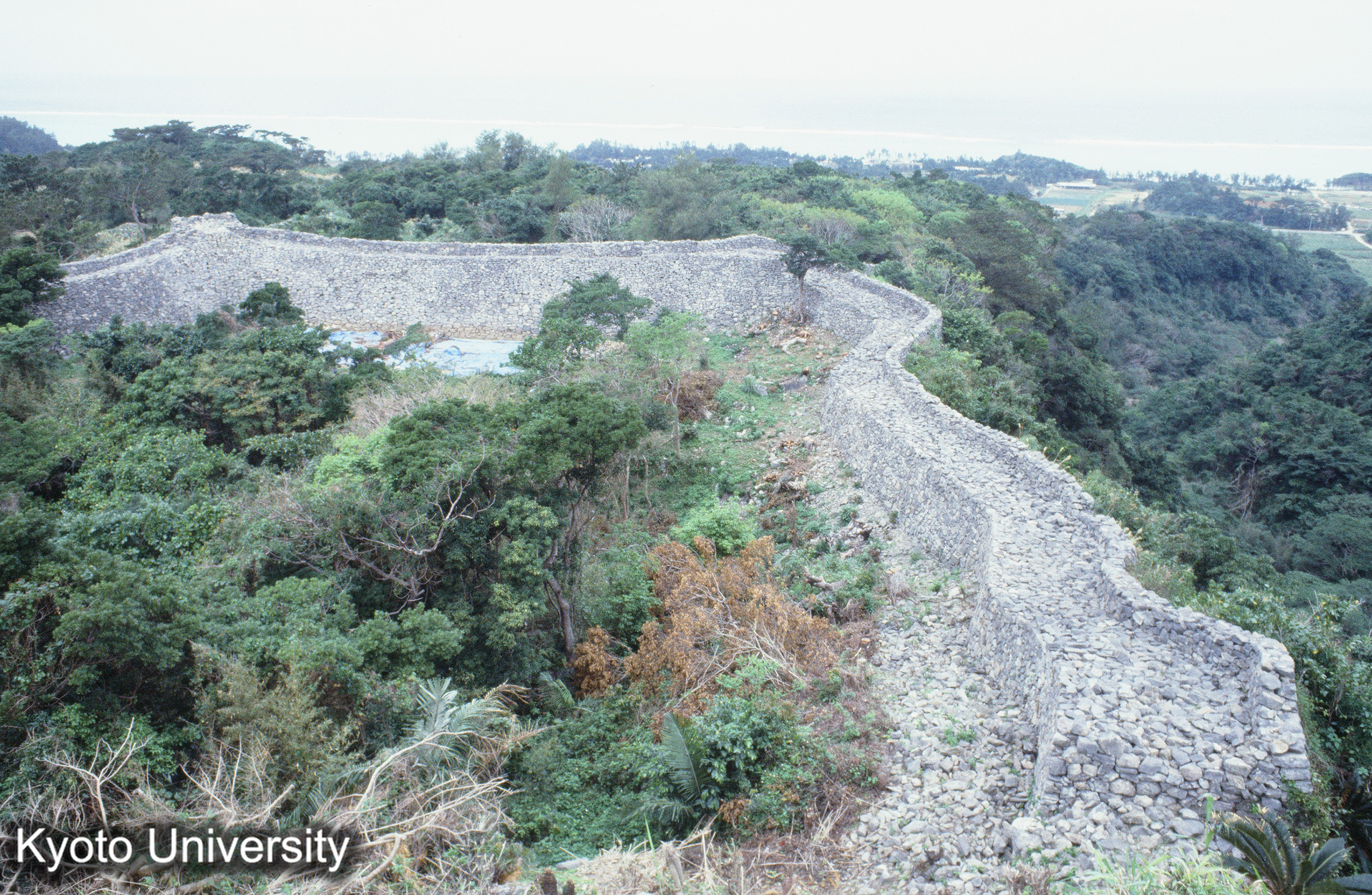 ［スライド］ (1)