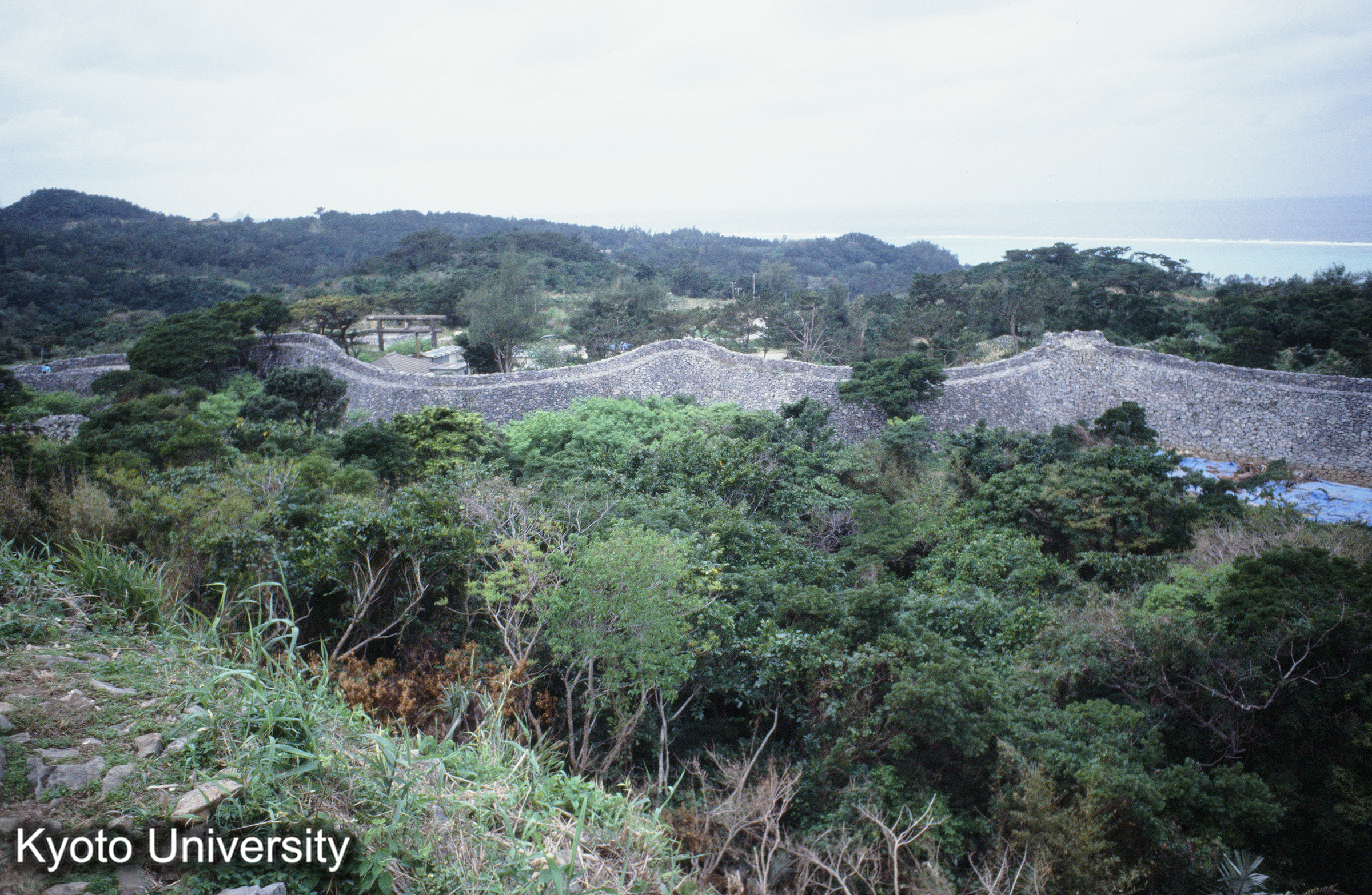 ［スライド］ (1)