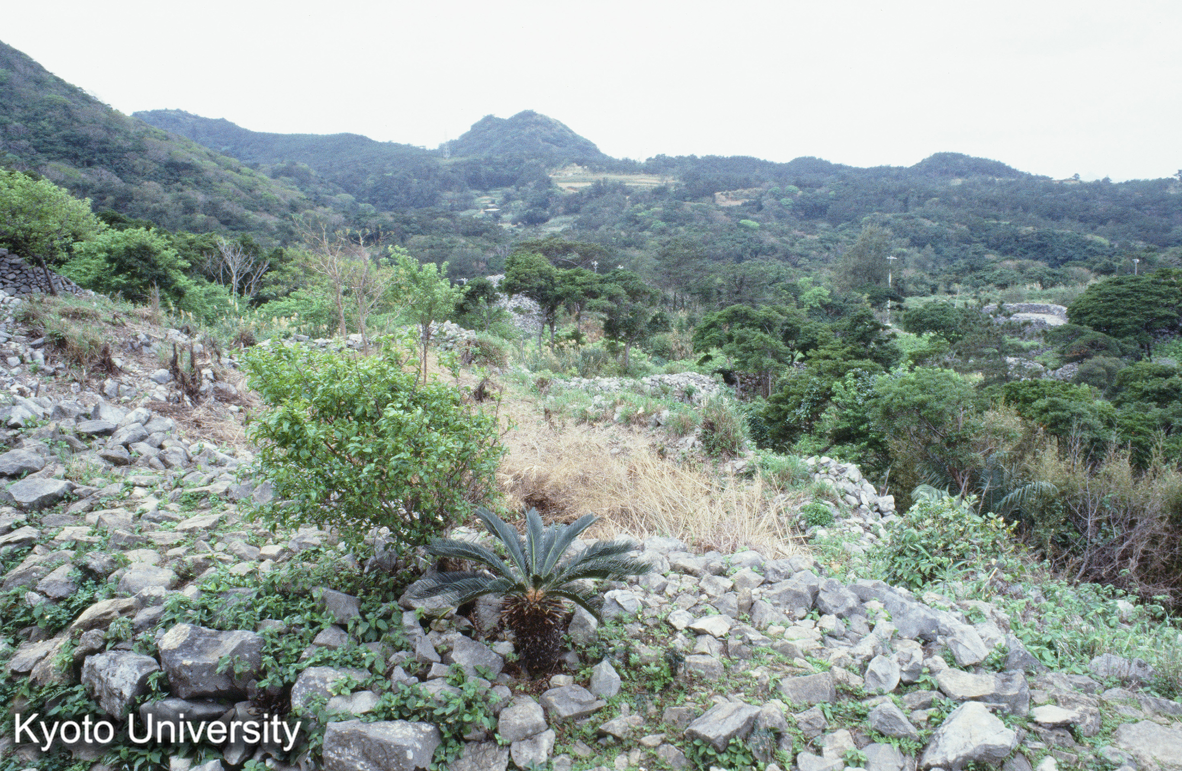 ［スライド］ (1)