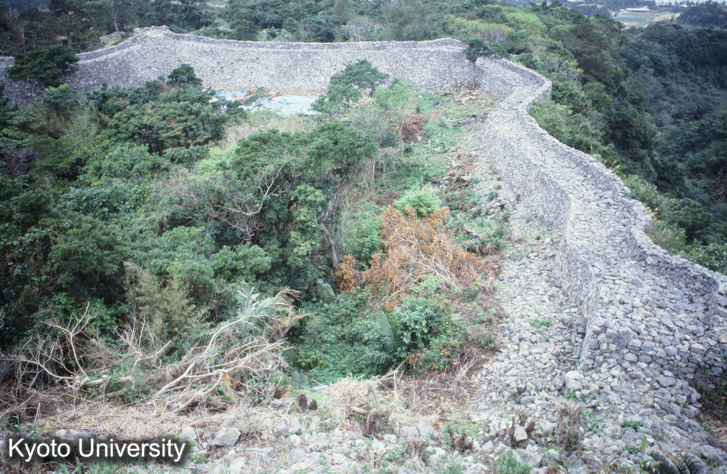 ［スライド］ (1)