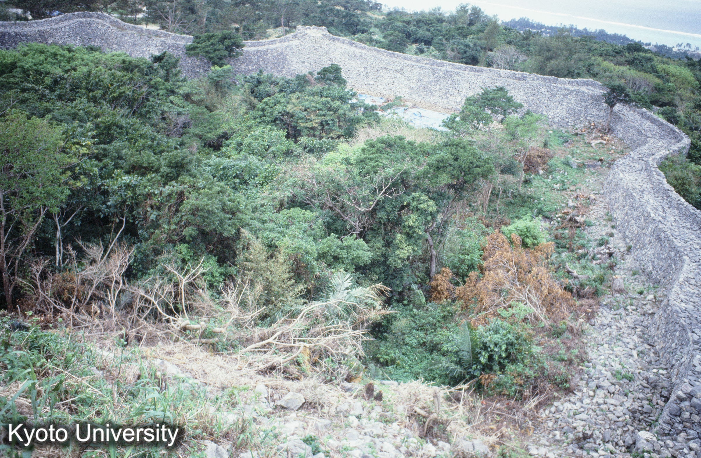 ［スライド］ (1)