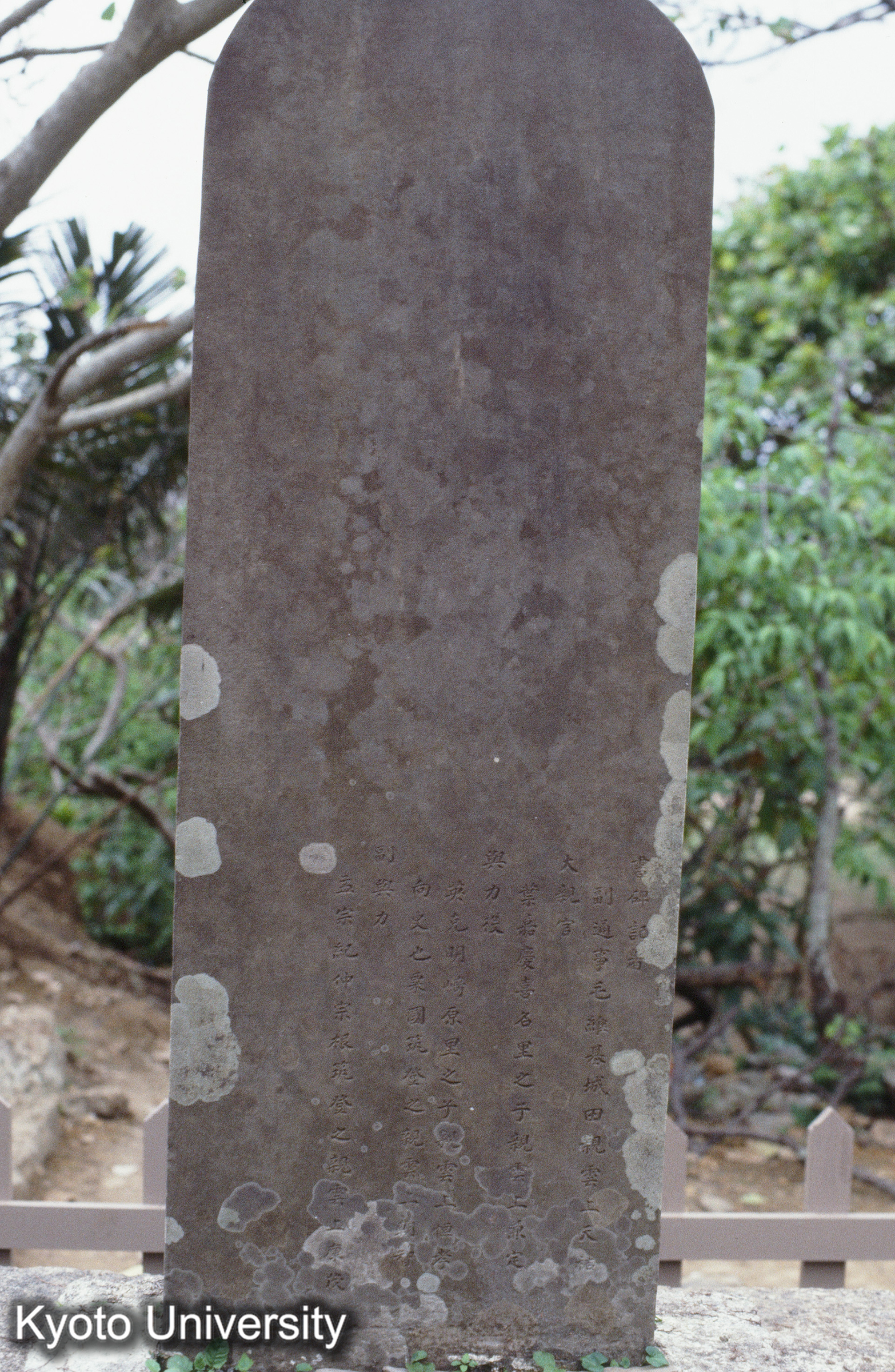 ［スライド］ (1)