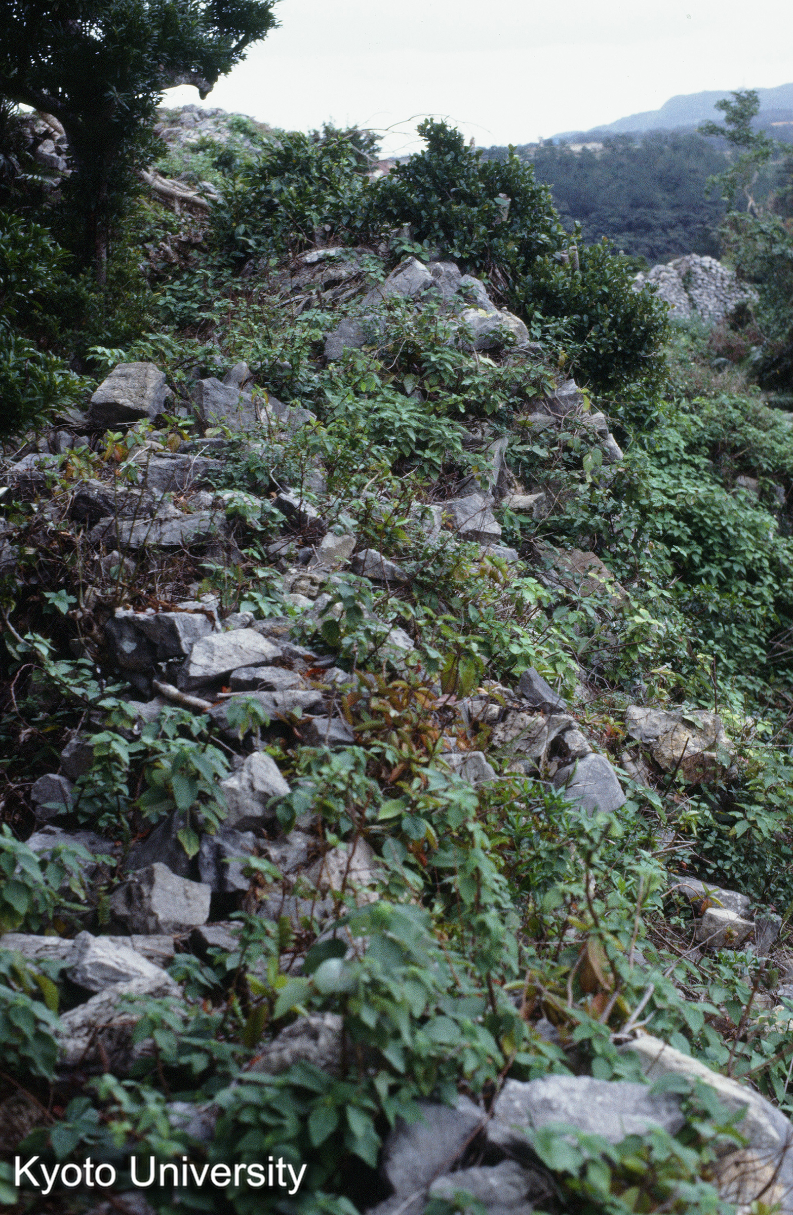 ［スライド］ (1)