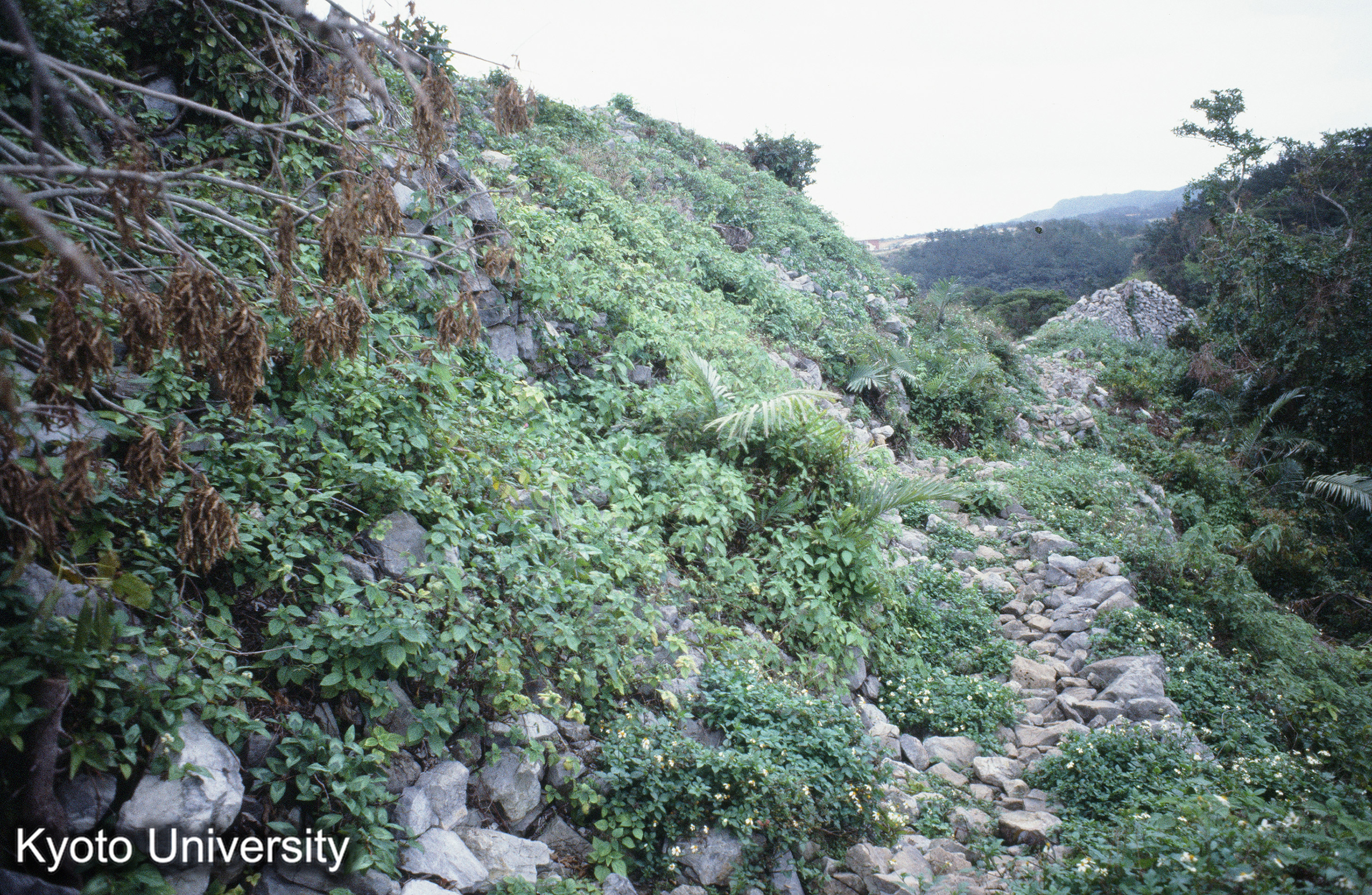 ［スライド］ (1)