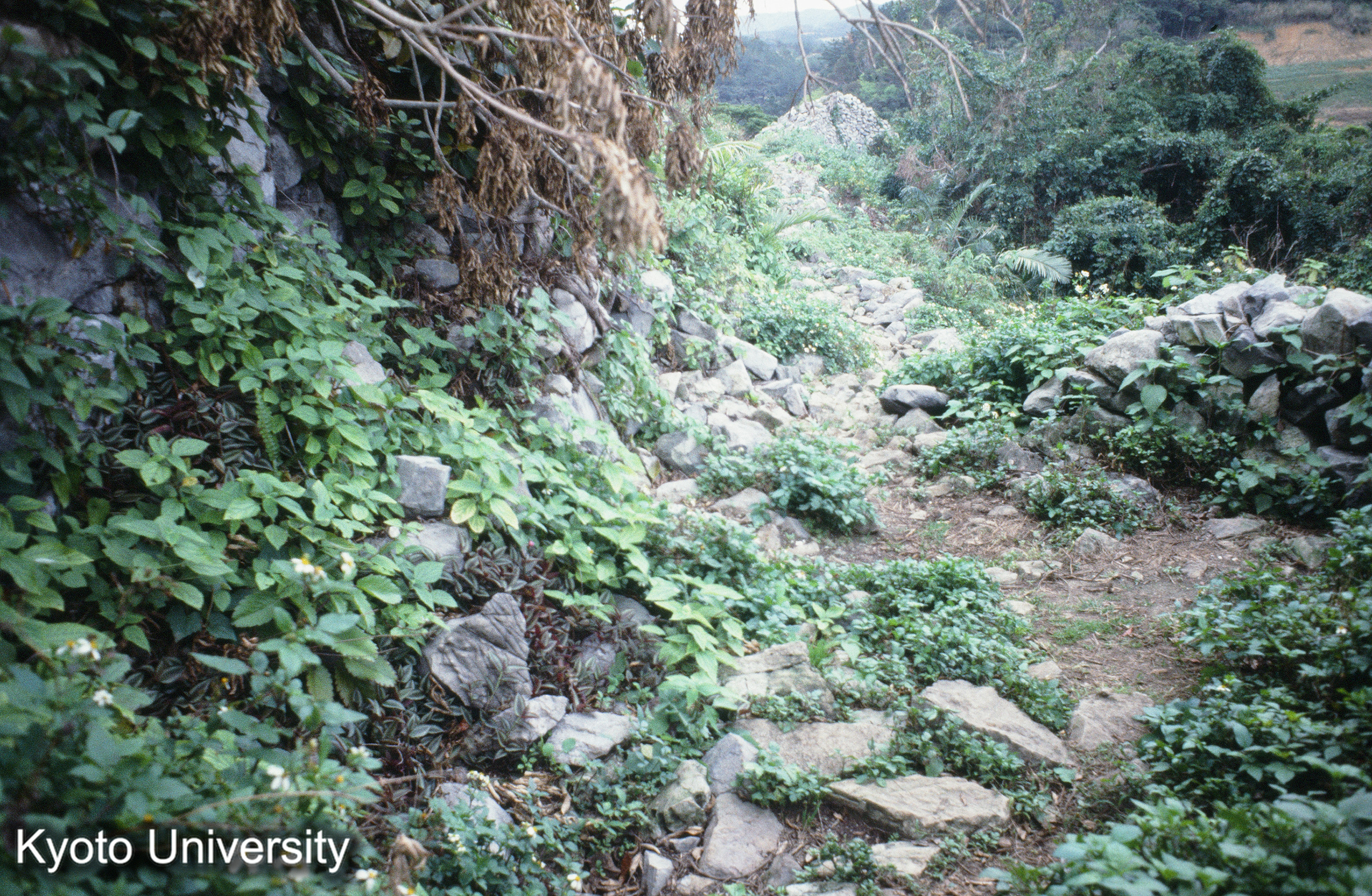 ［スライド］ (1)