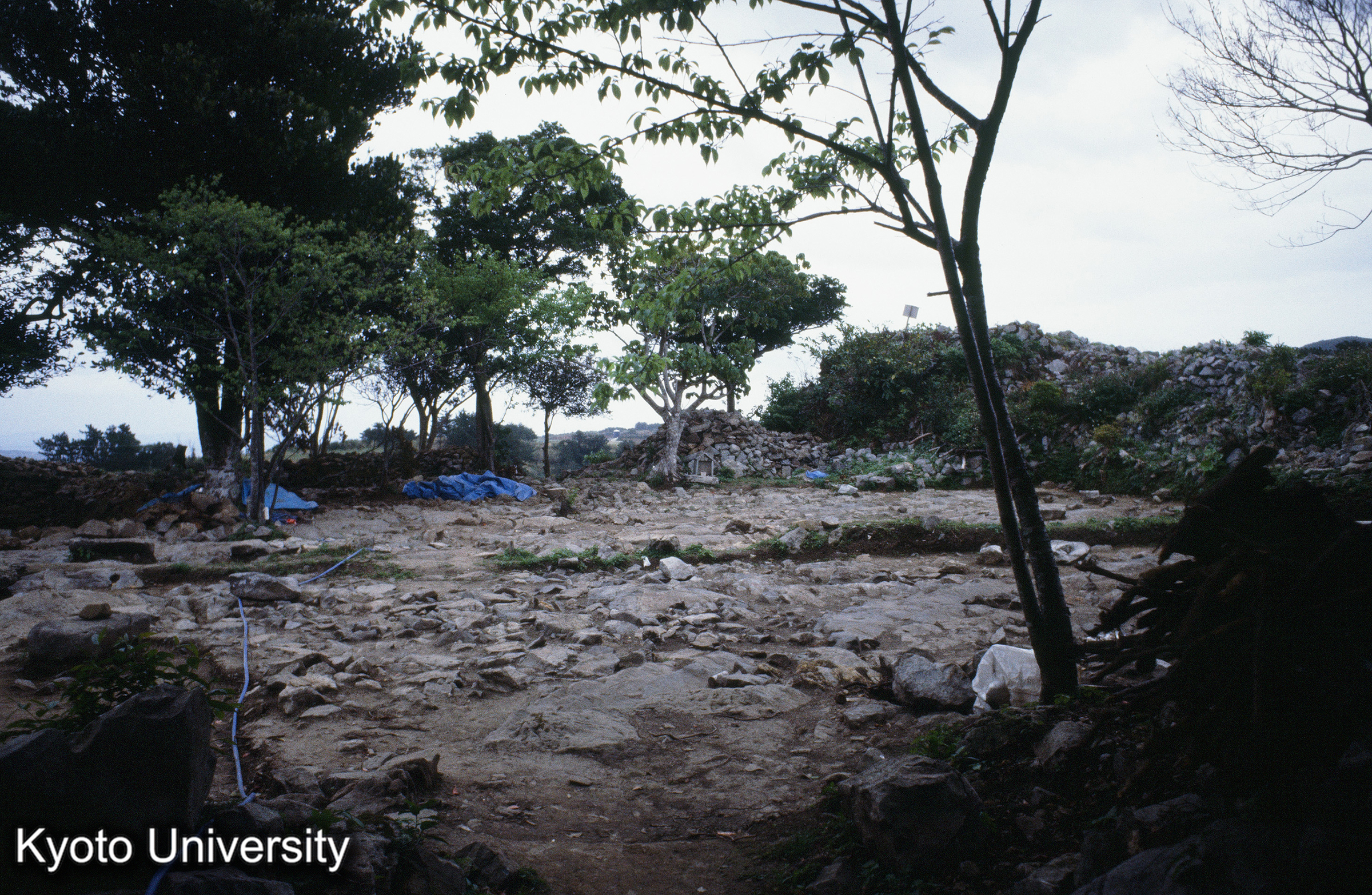 ［スライド］ (1)